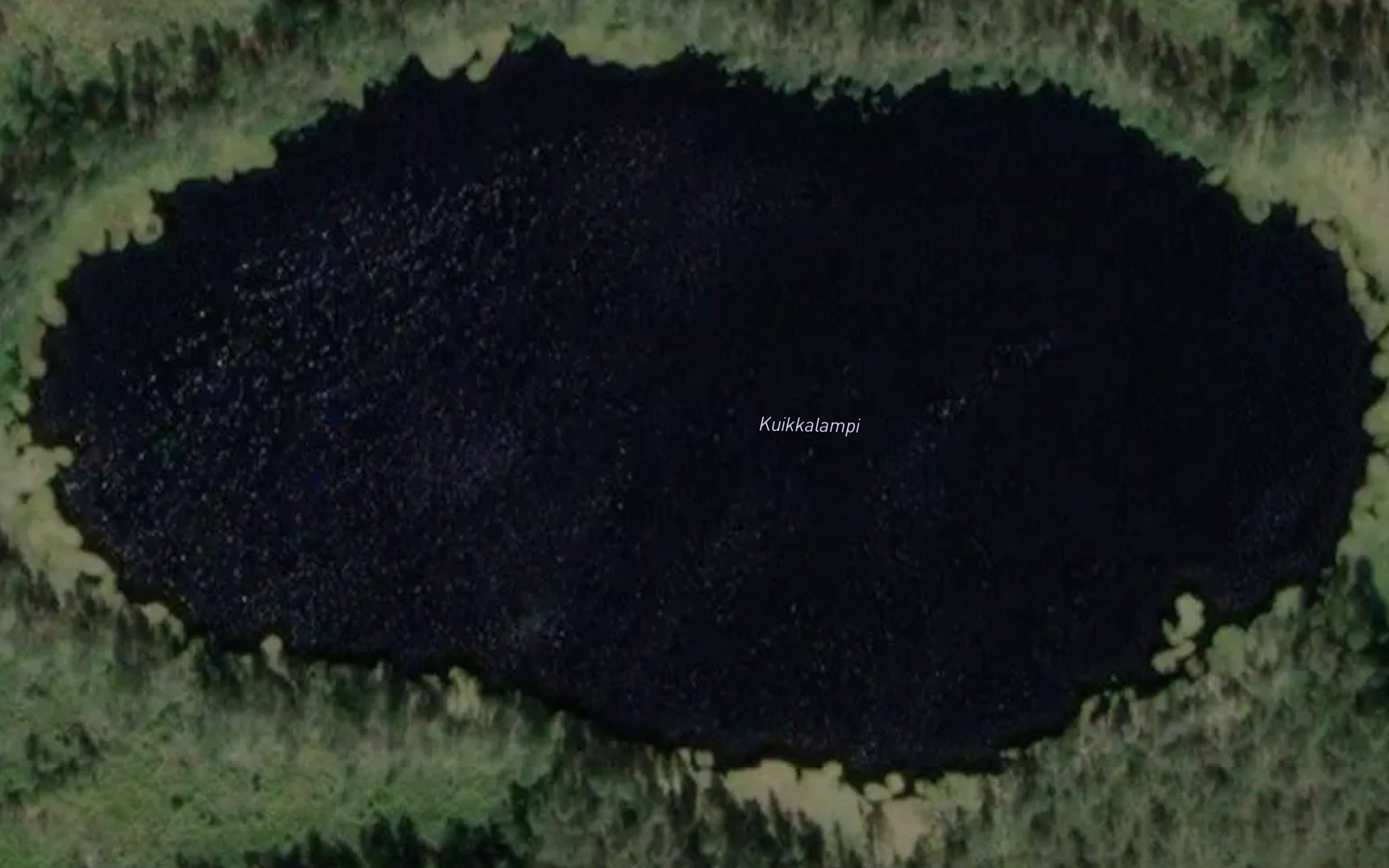 Kuikkalampi