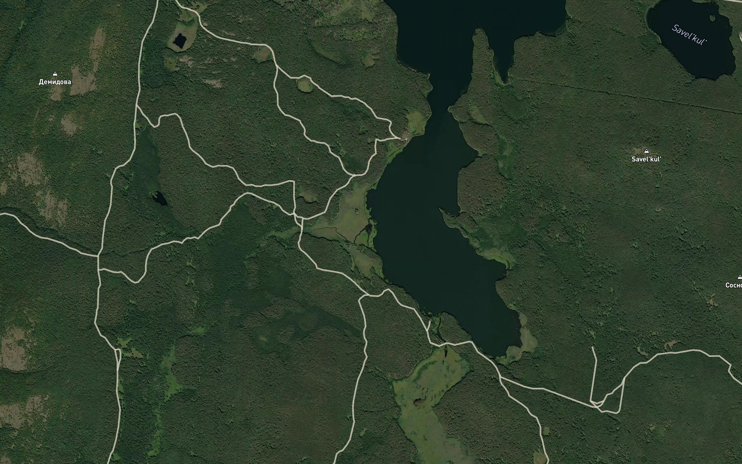 Nyashevka