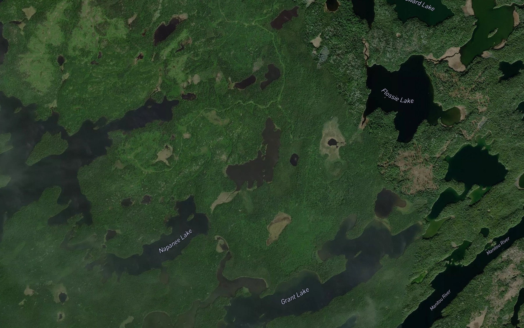 Satellite map of the Neilson Lake
