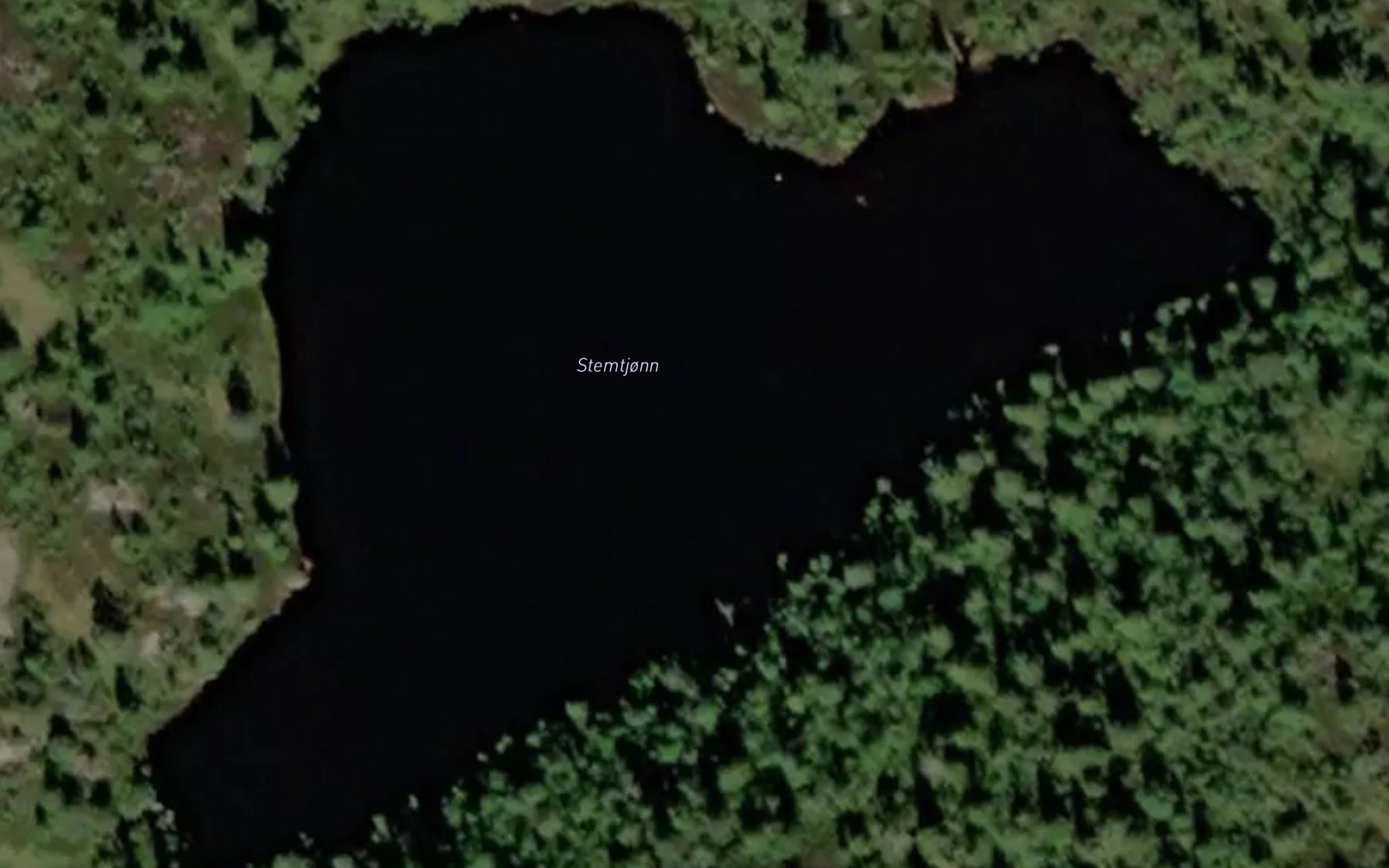 Stemtjorn