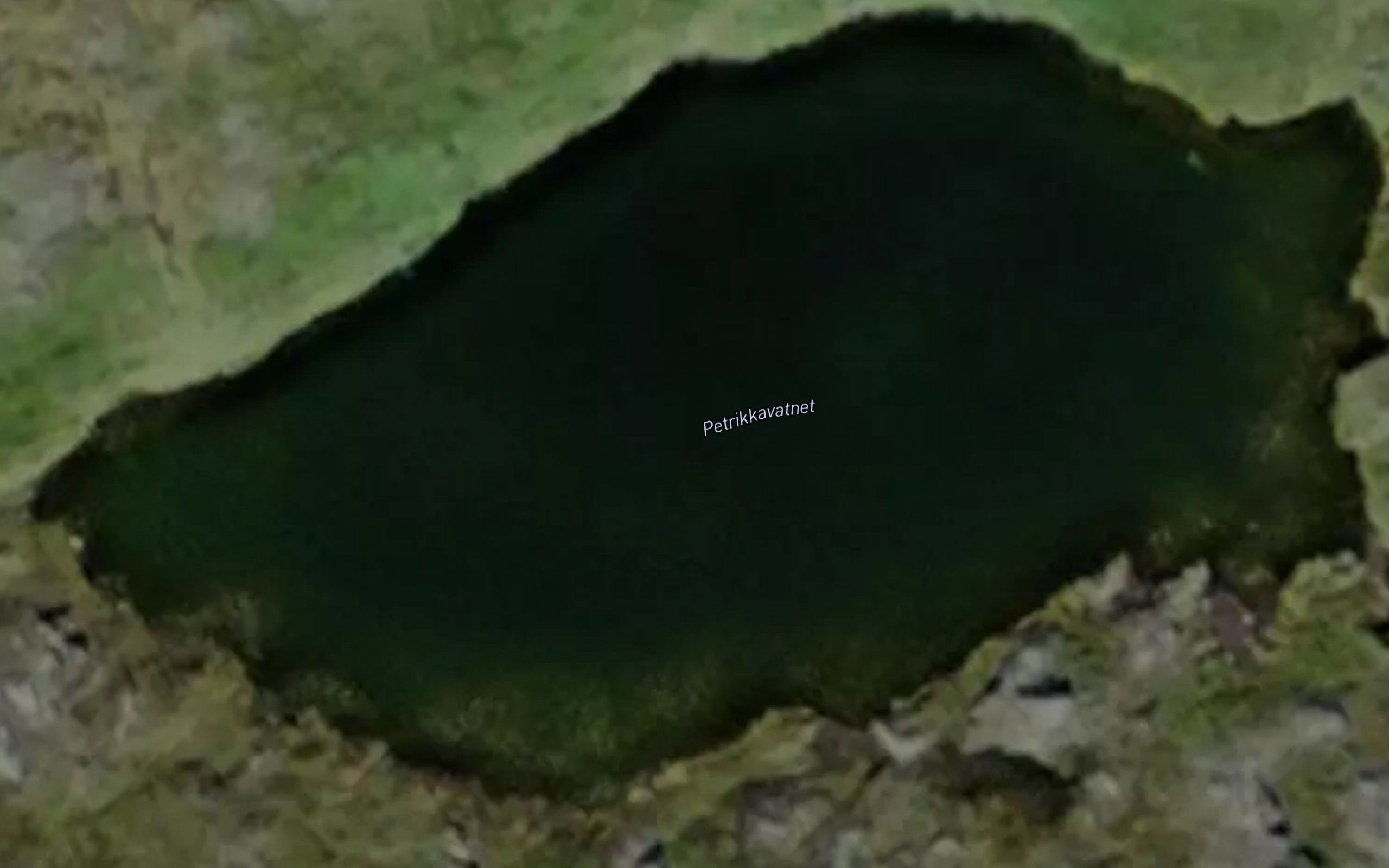 Petrikkavatnet