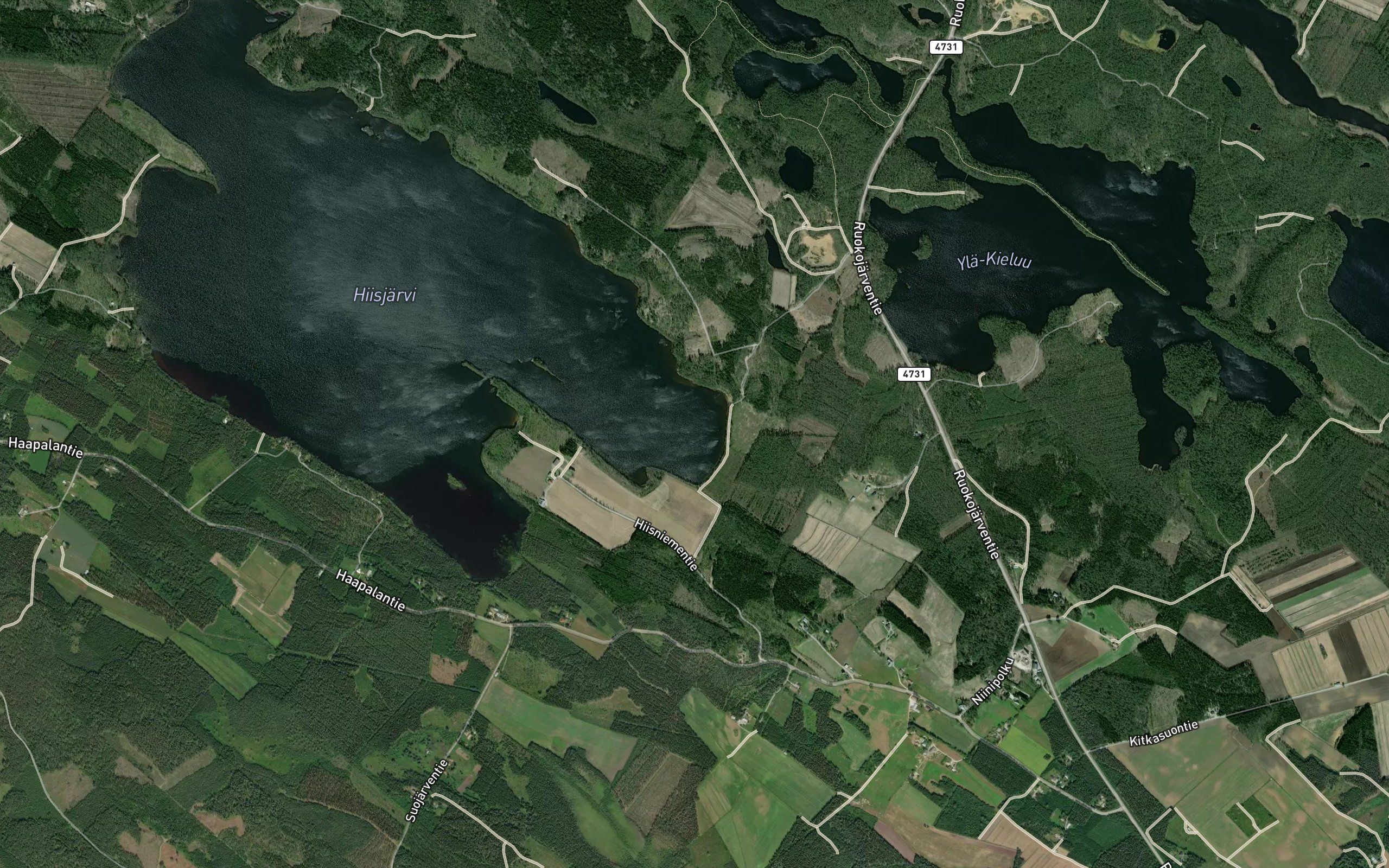 Pitkalahti
