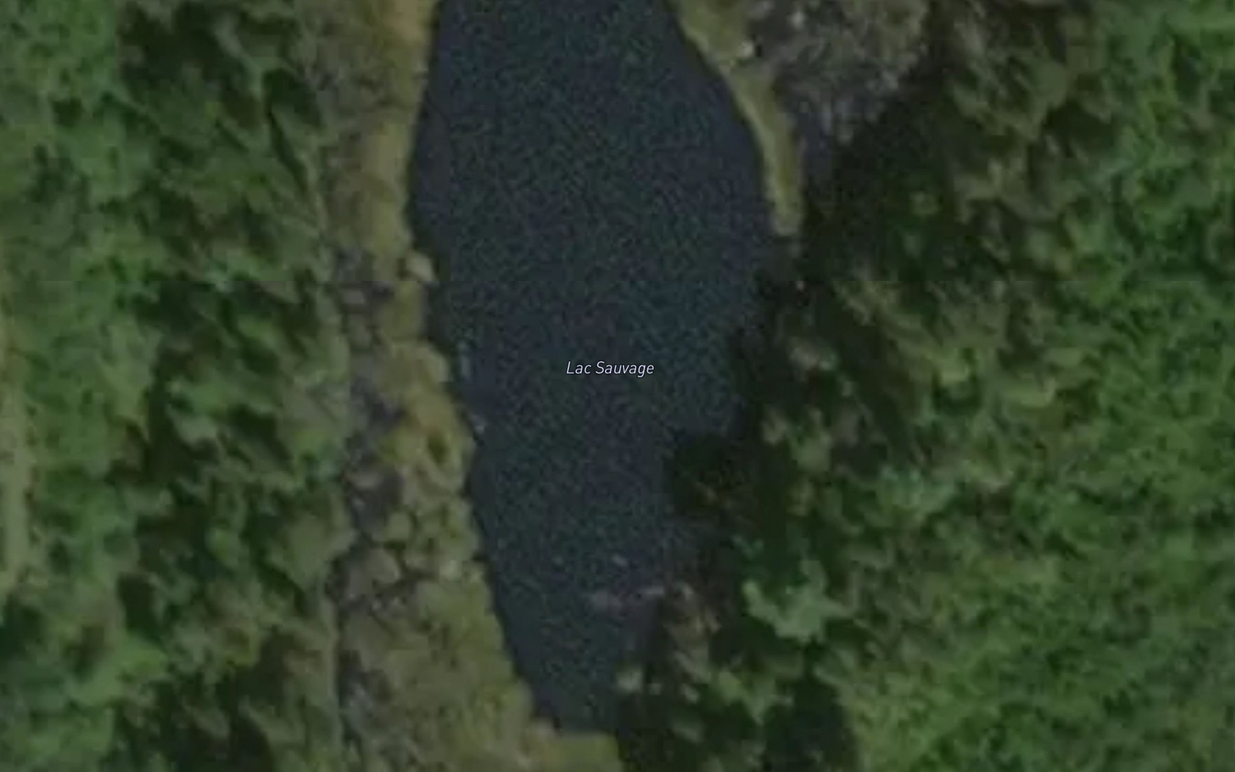 Satellite map of the Lac Sauvage