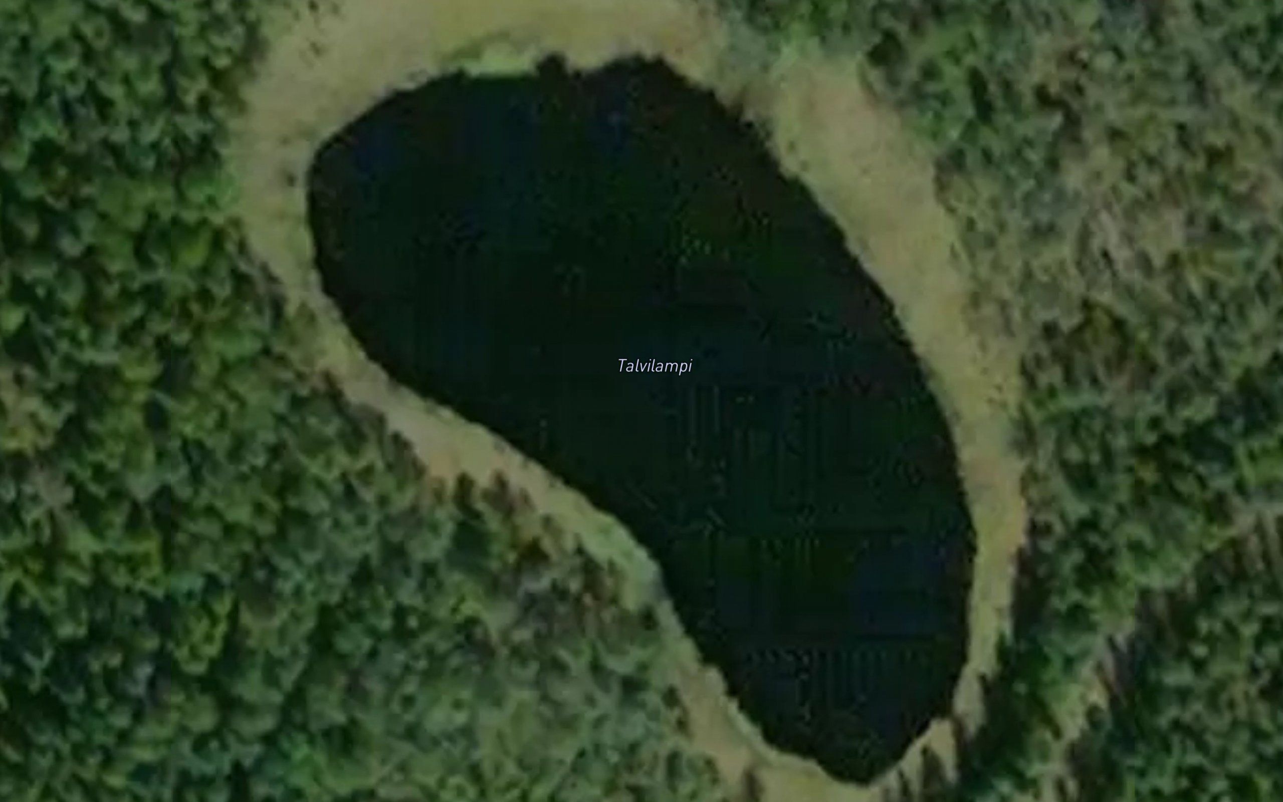 Talvilampi