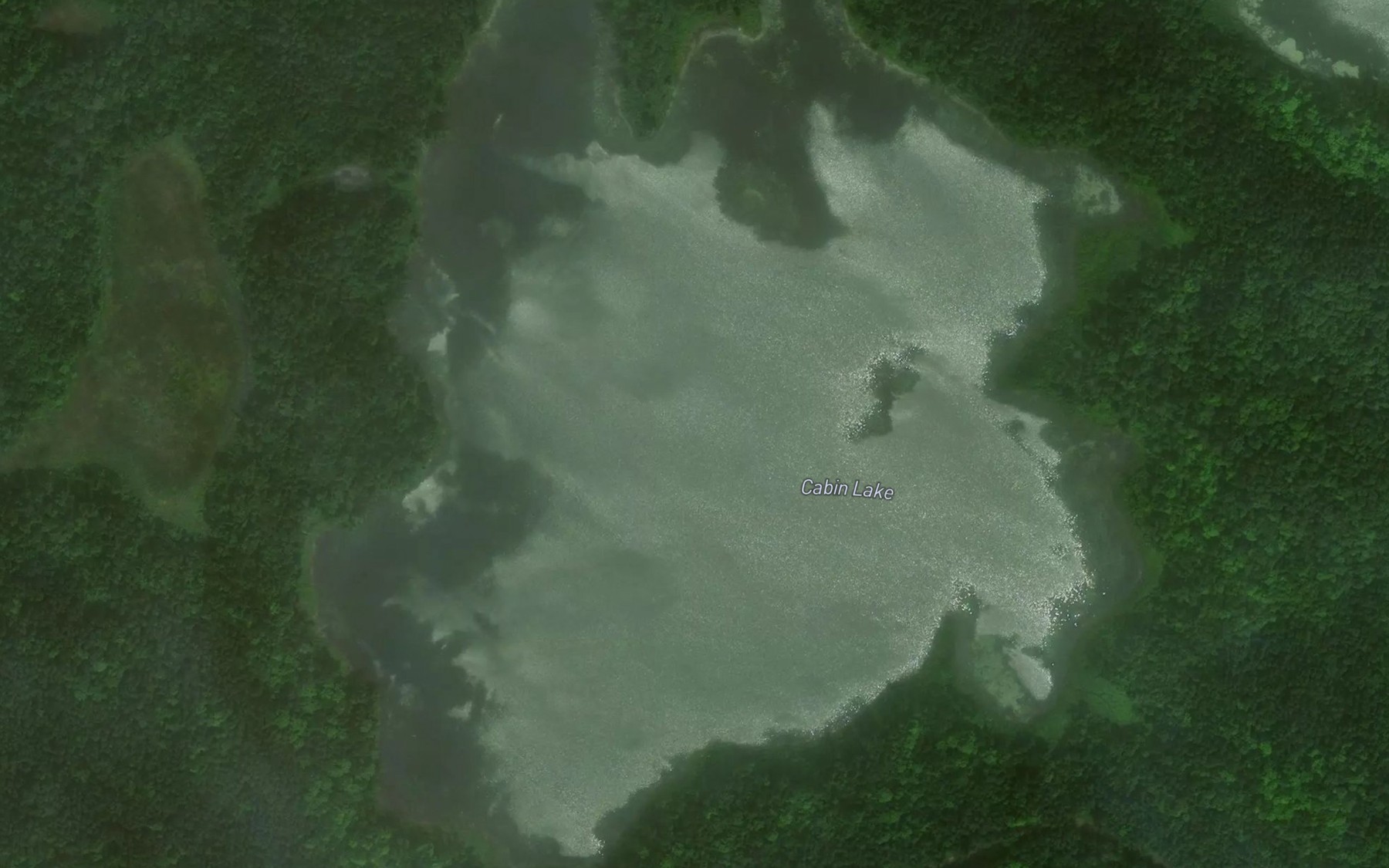 Satellite map of the Cabin Lake