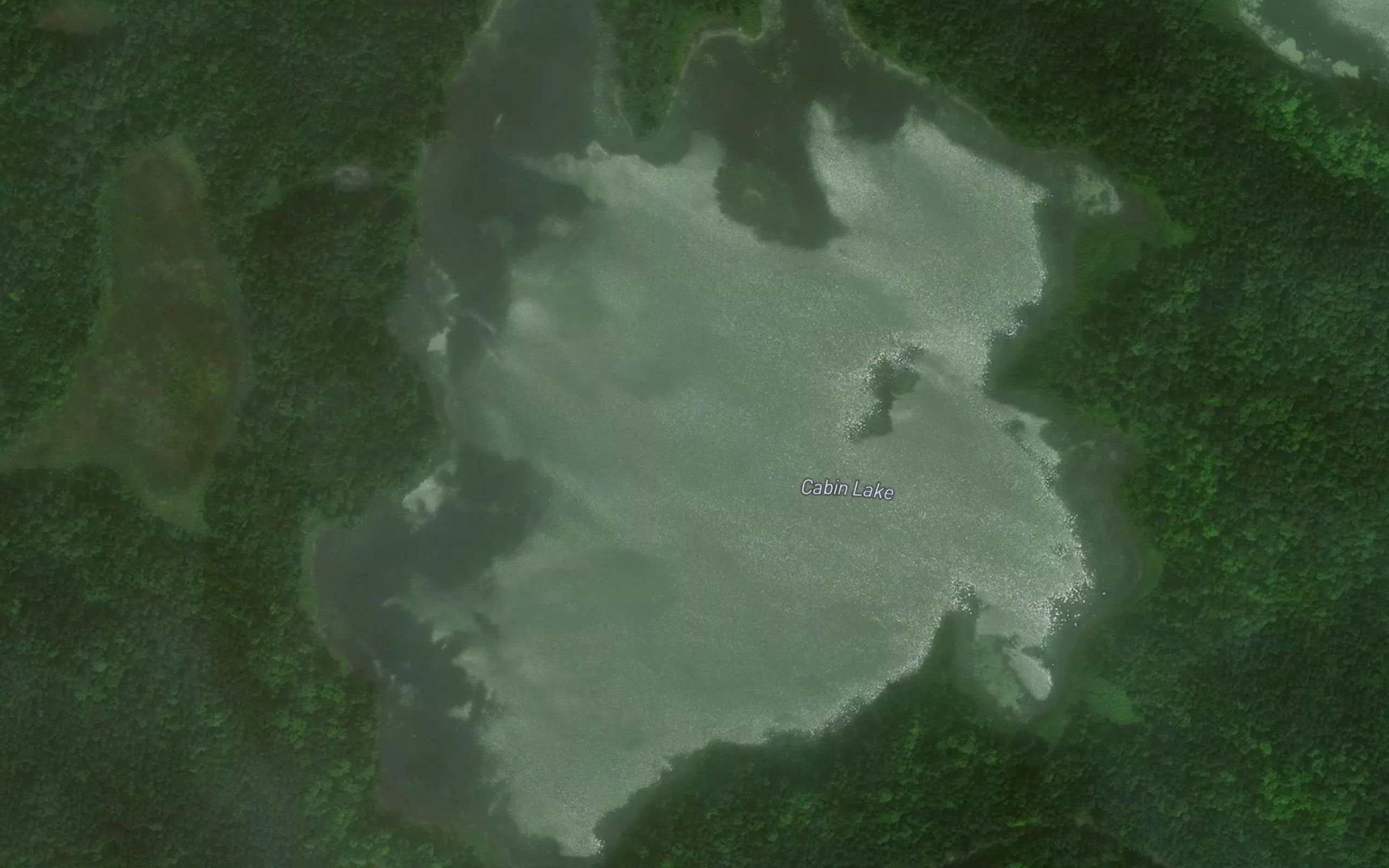 Cabin Lake