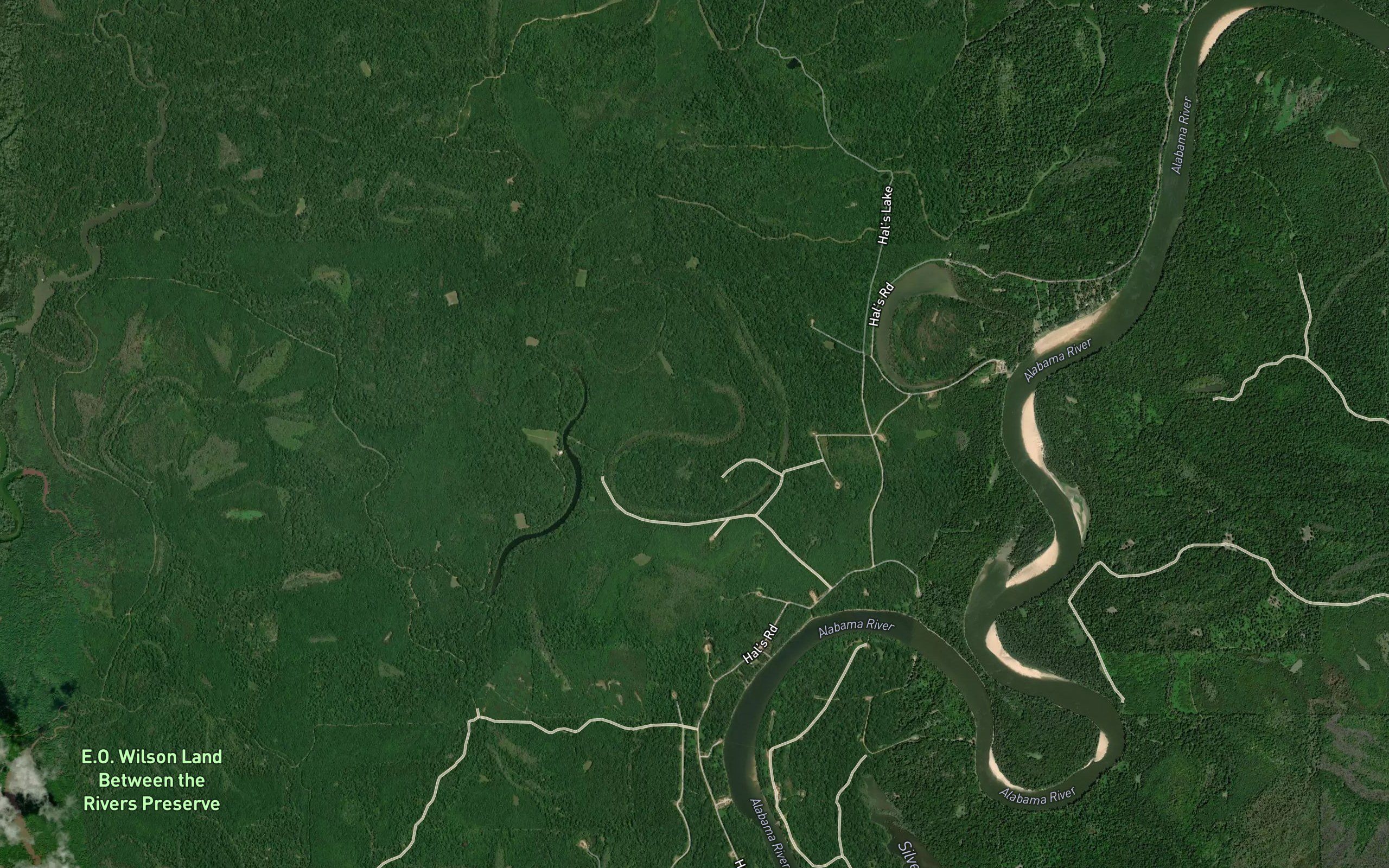 Middle Lake