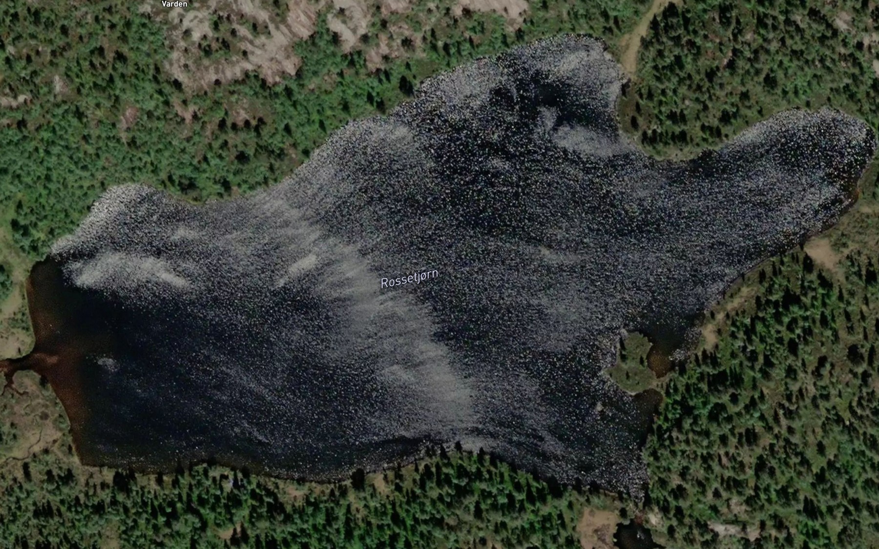 Satellite map of the Rossetjorn