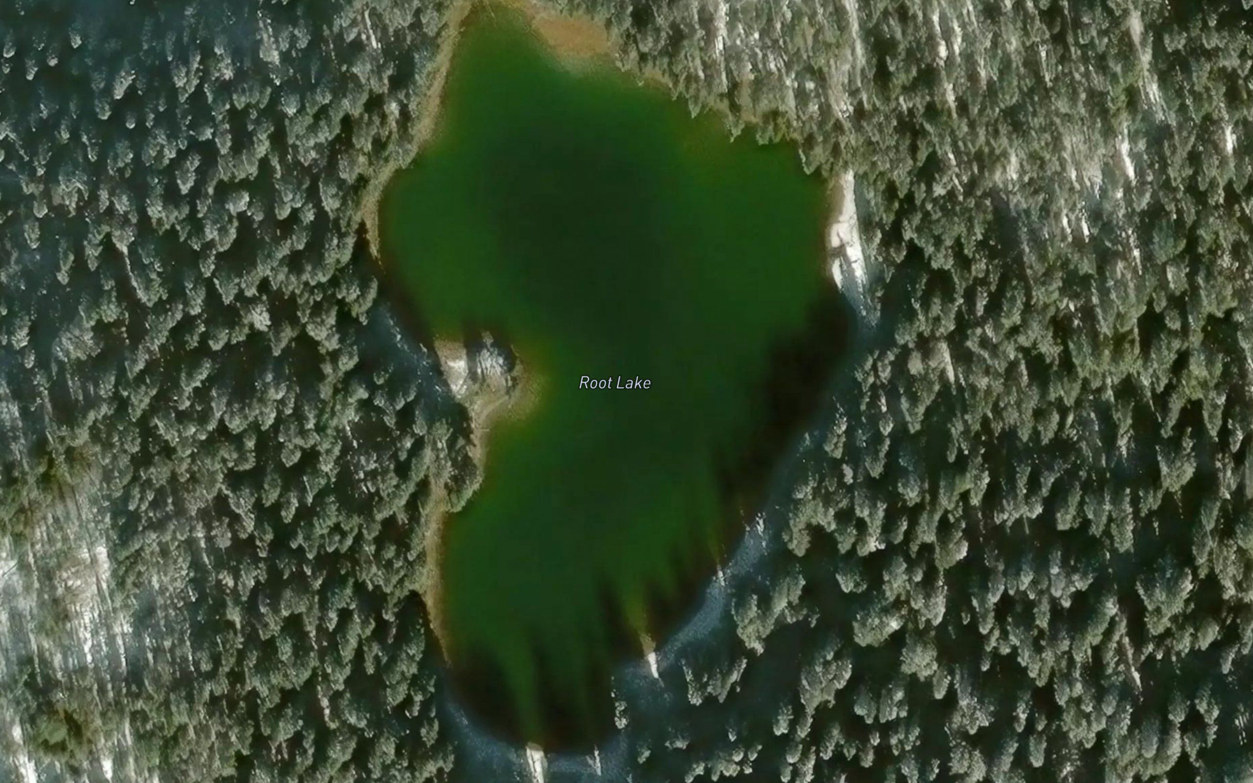 Root Lake