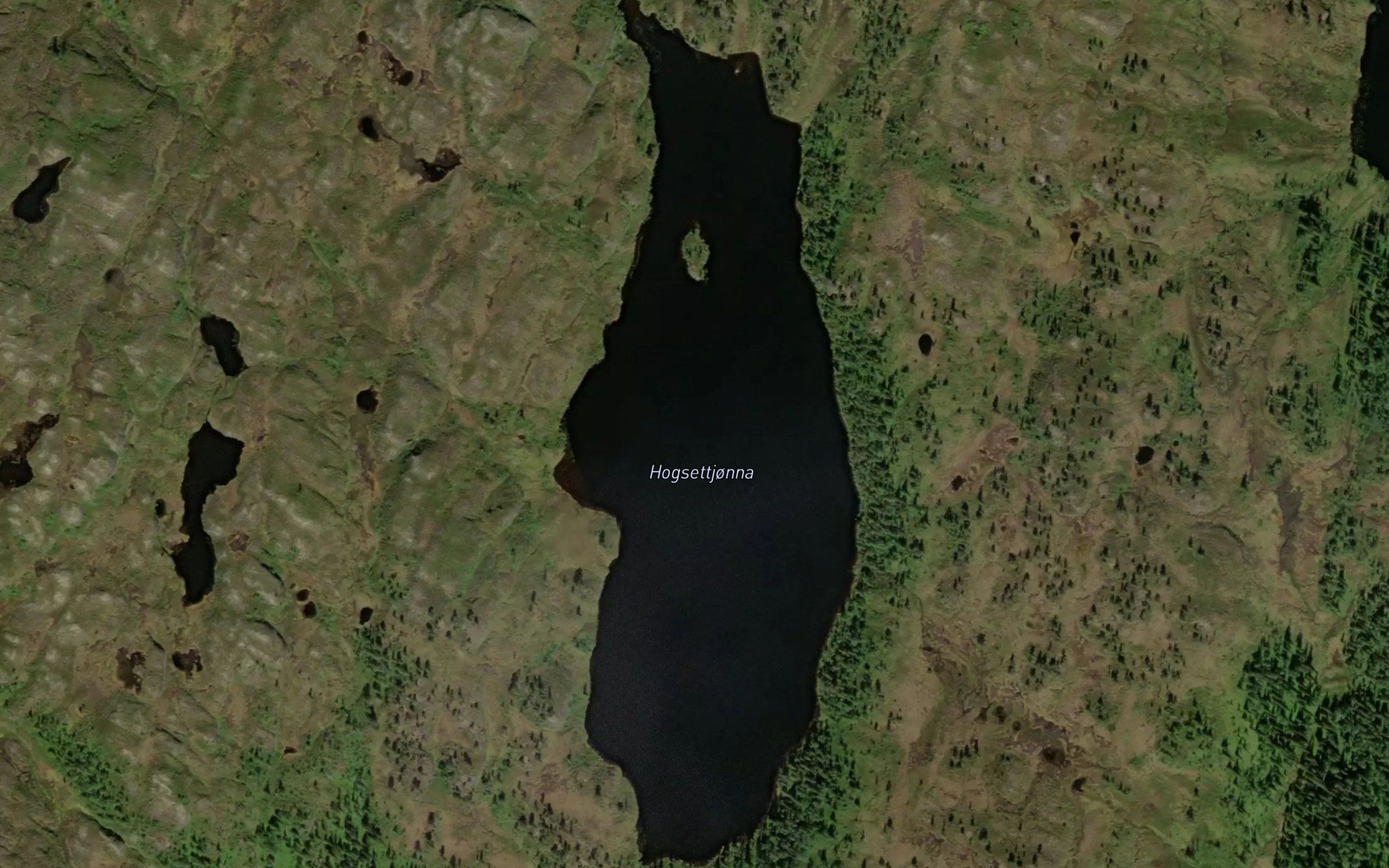 Hogsettjorna