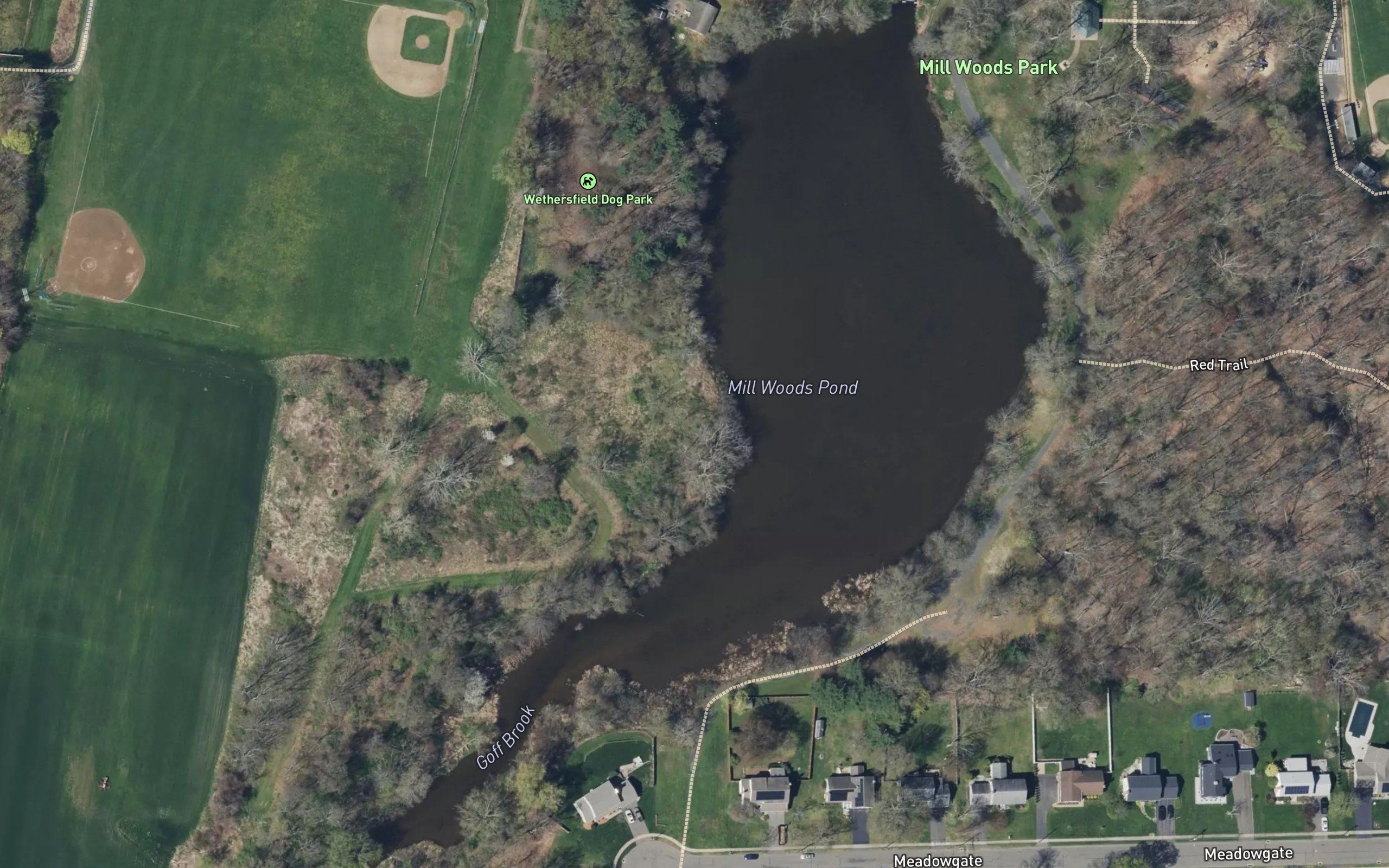Mill Woods Pond