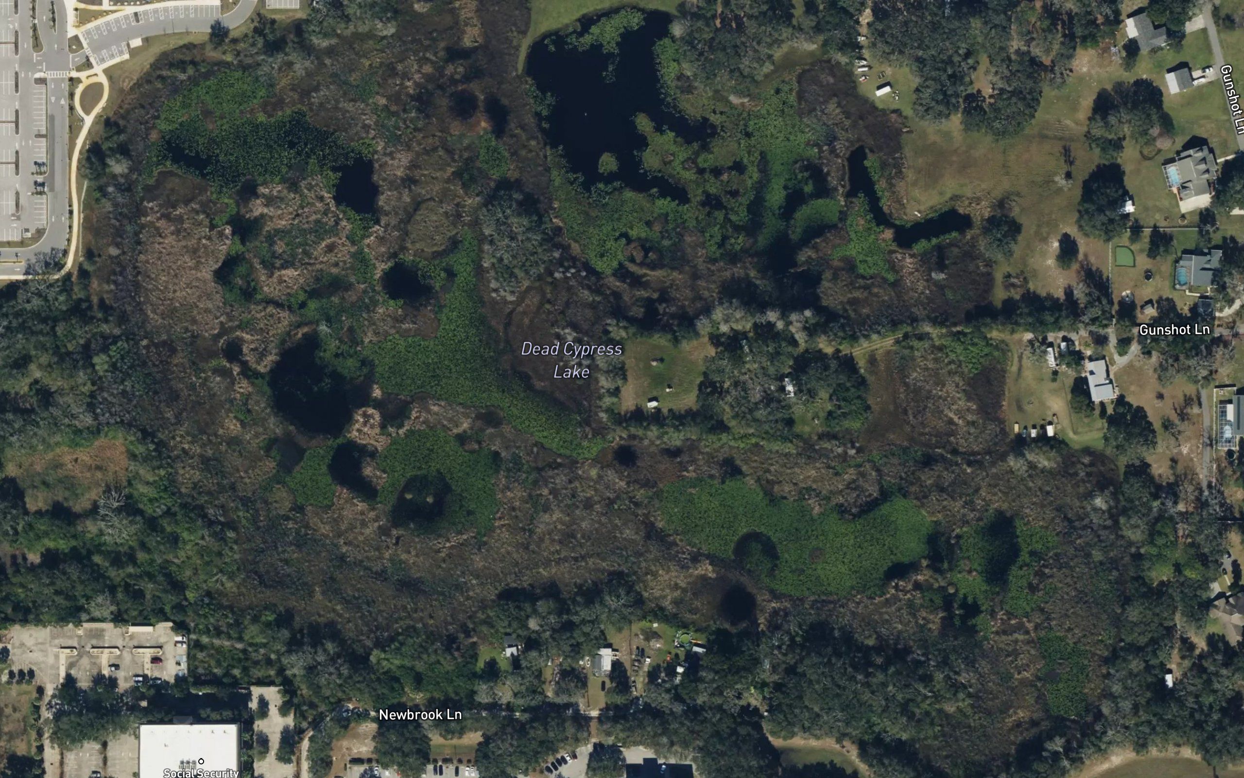 Dead Cypress Lake