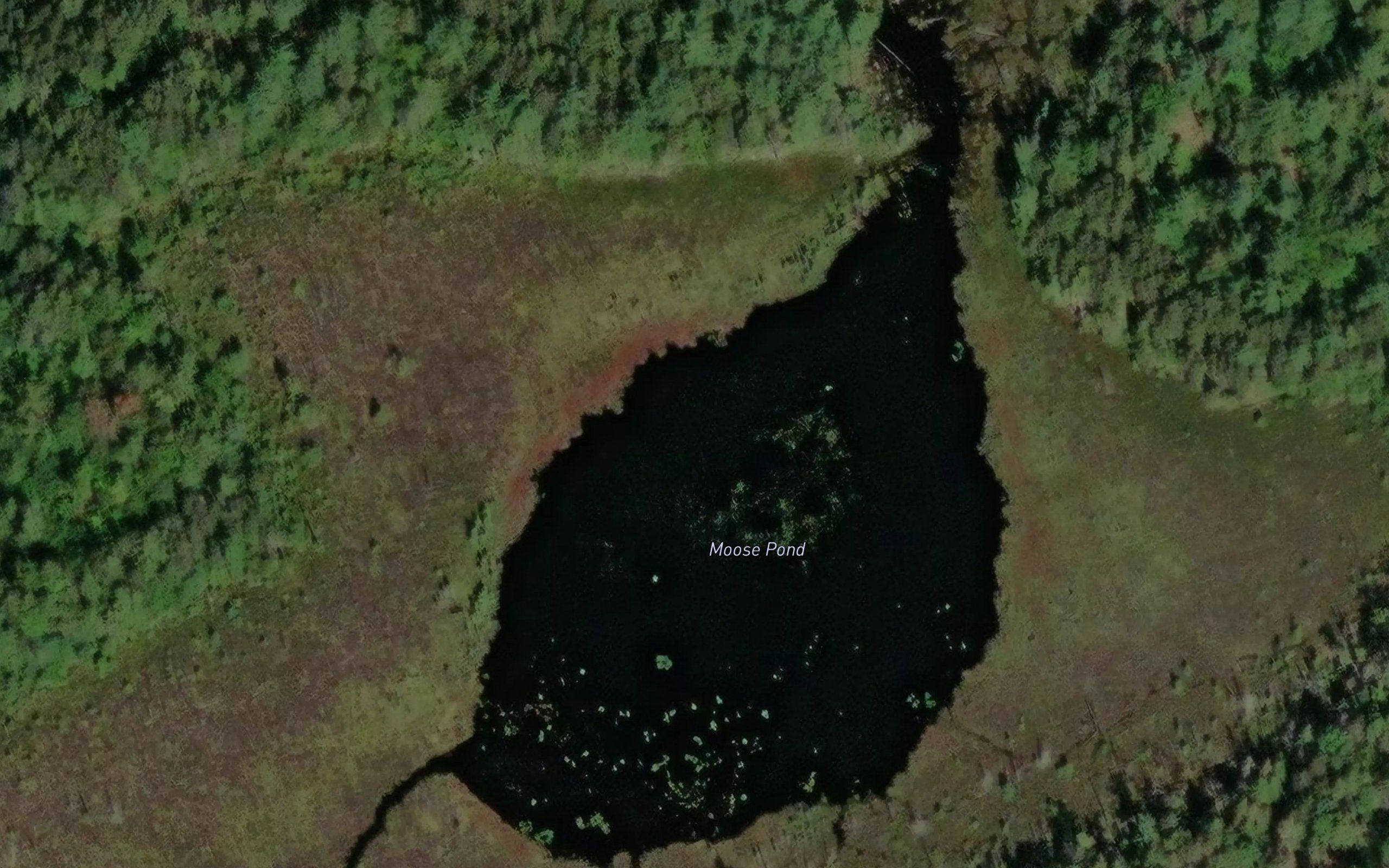 Moose Pond