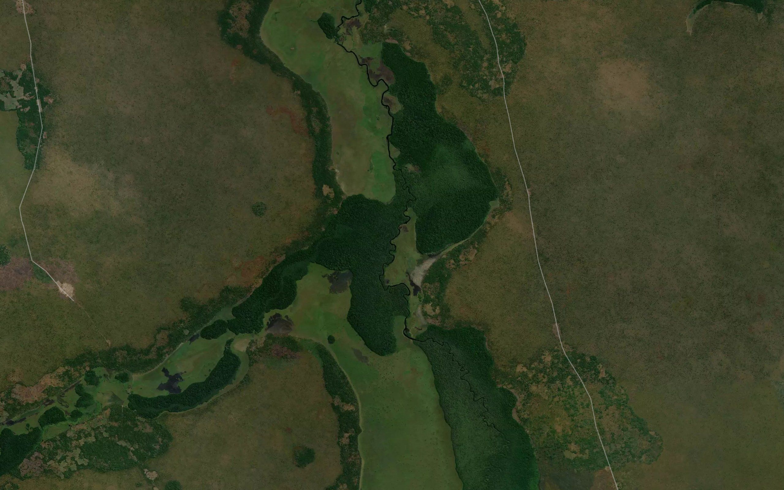 Muringa