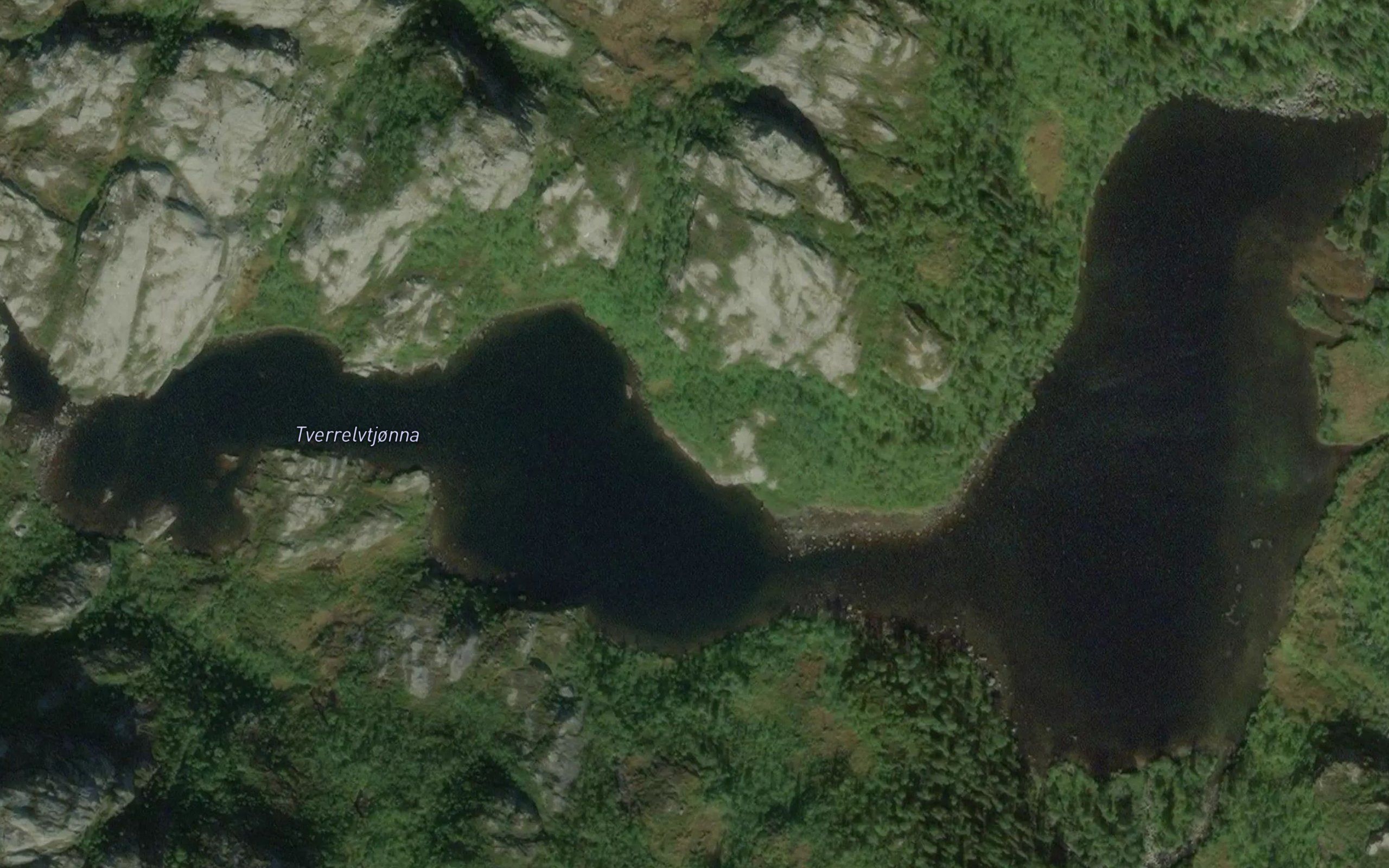 Tverrelvtjonna