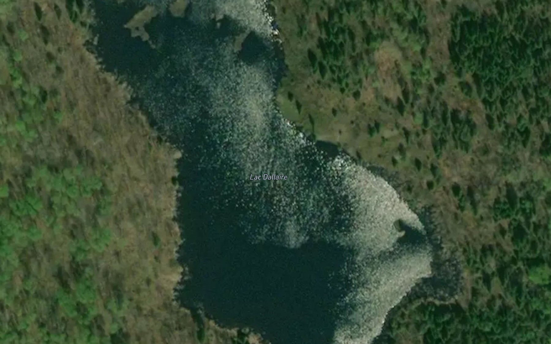 Satellite map of the Lac Dallaire