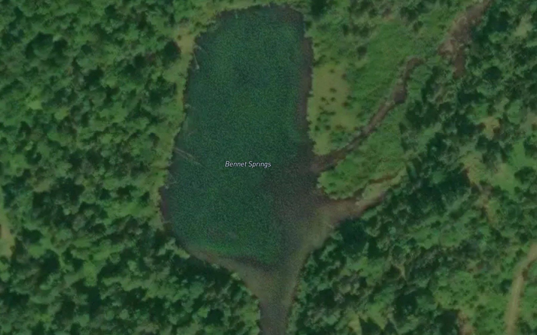 Satellite map of the Bennet Springs