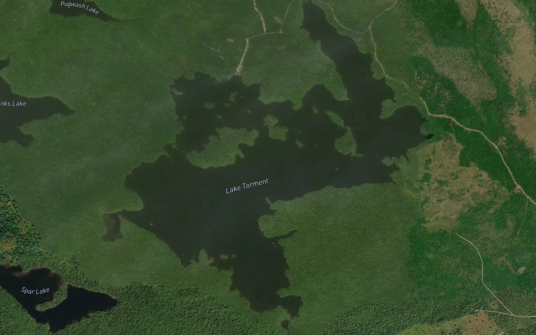 Satellite map of the Lake Torment