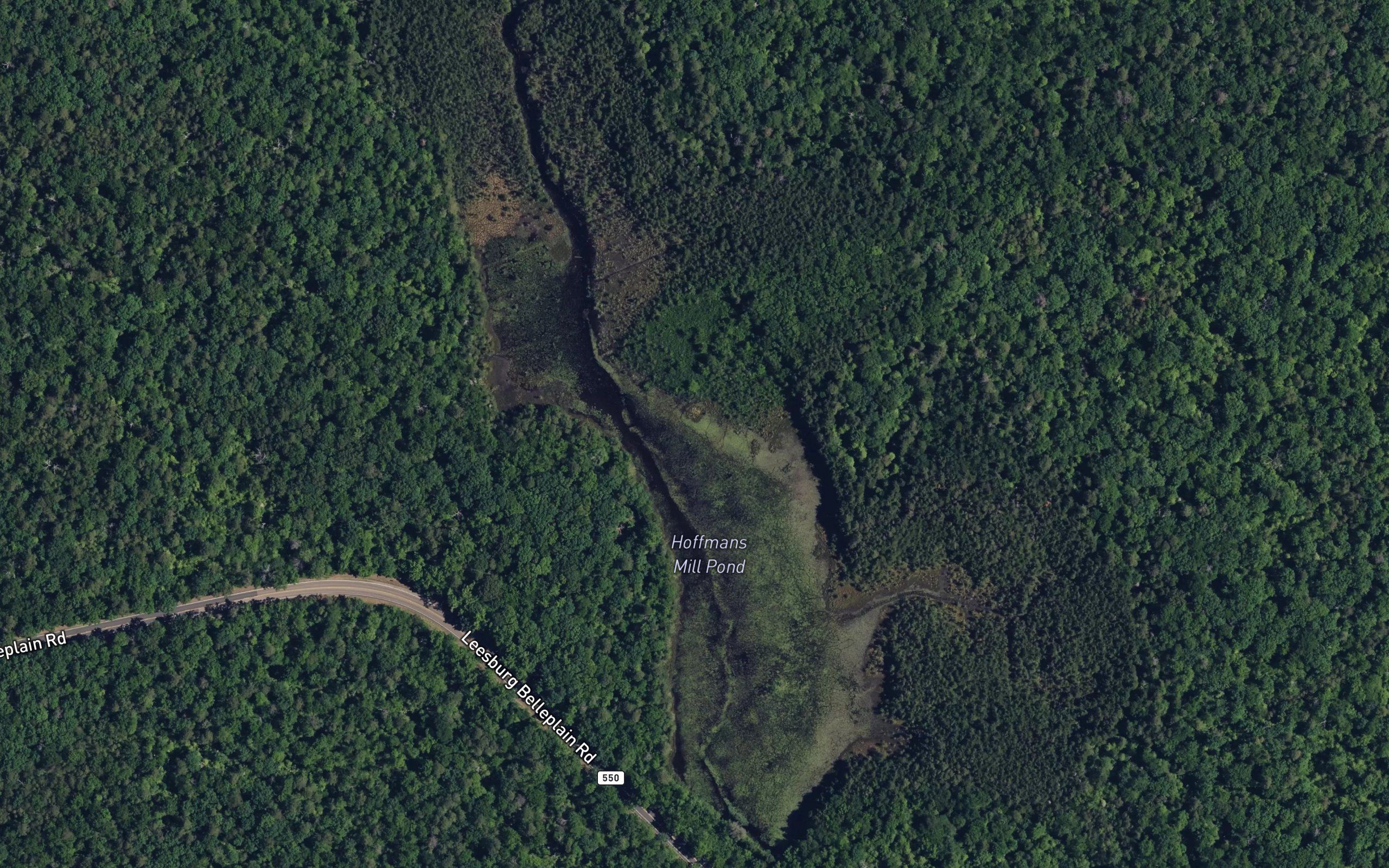 Hoffmans Mill Pond