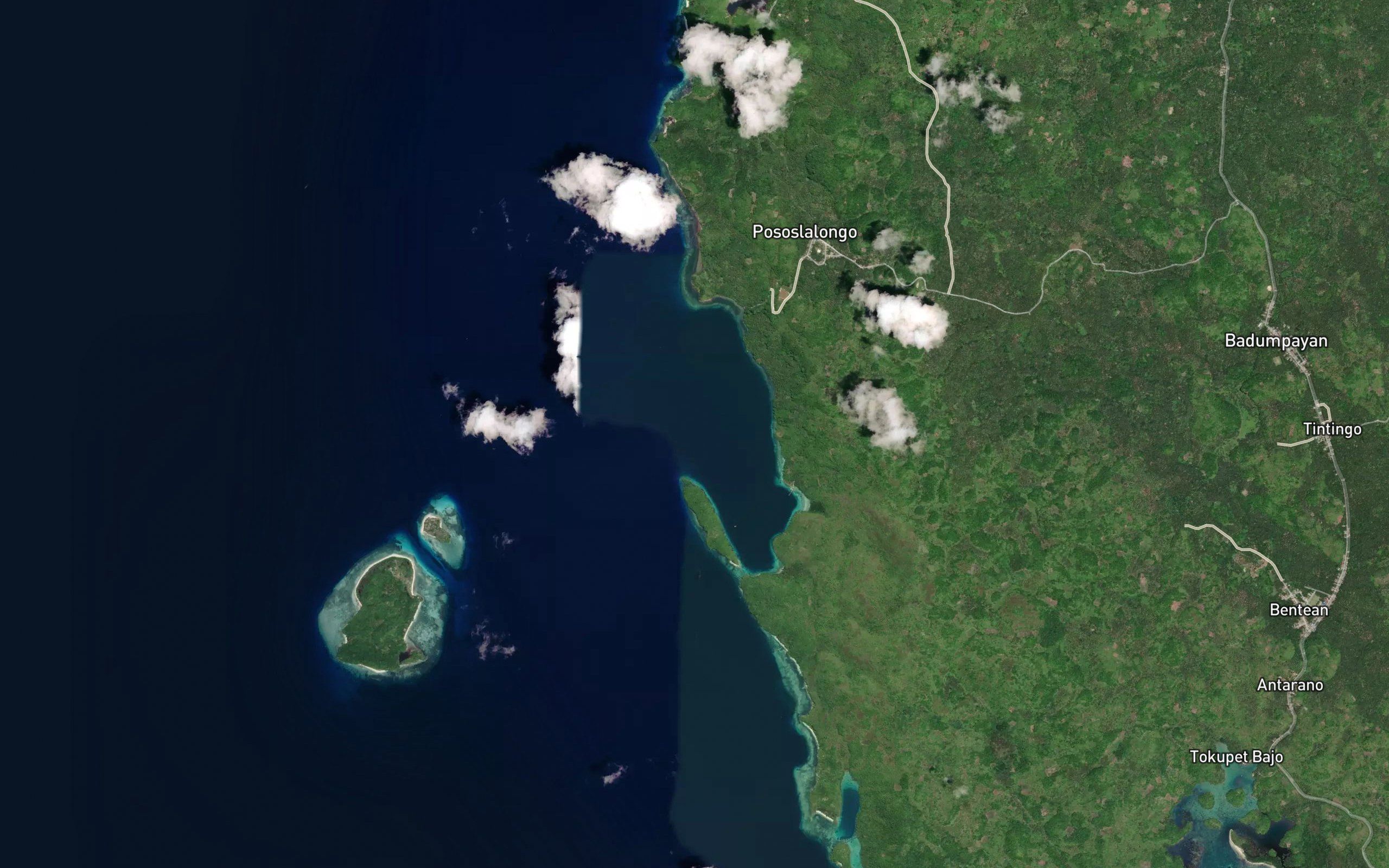 Teluk Kokungan