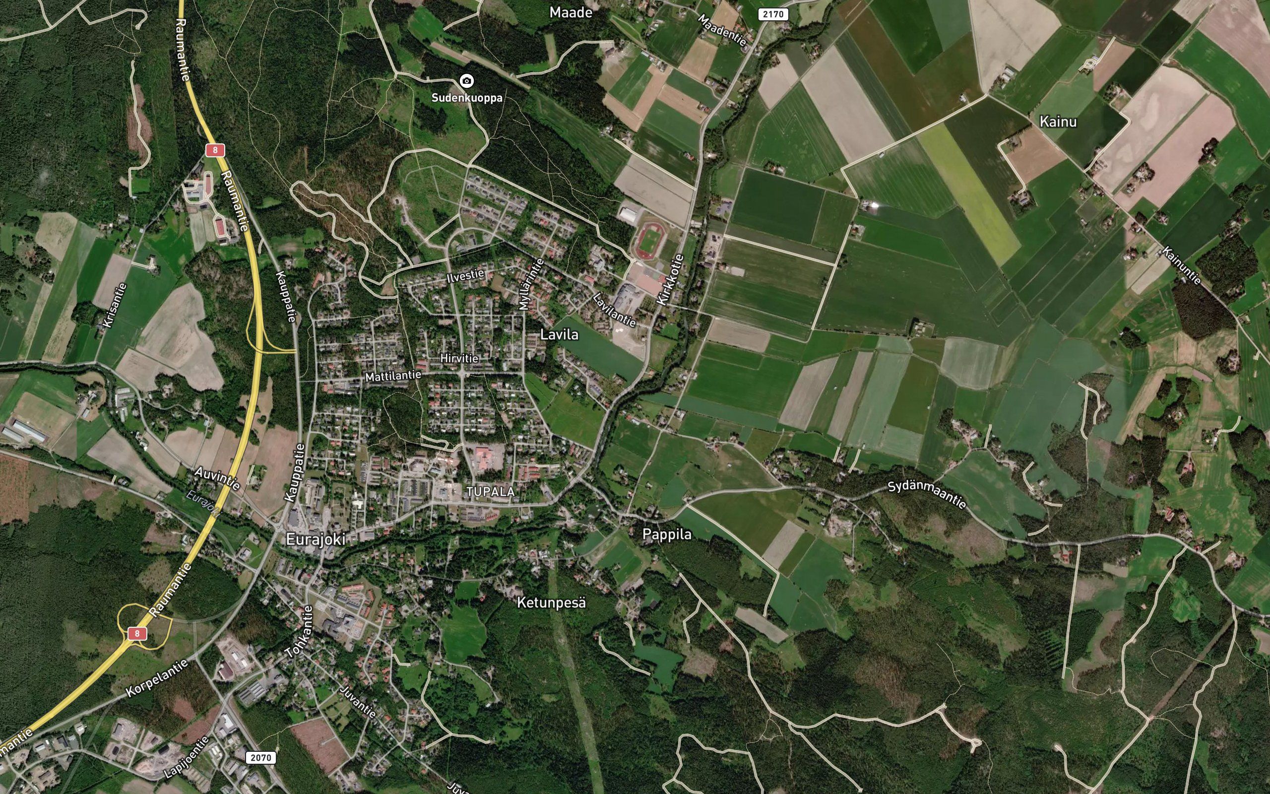 Protinoja