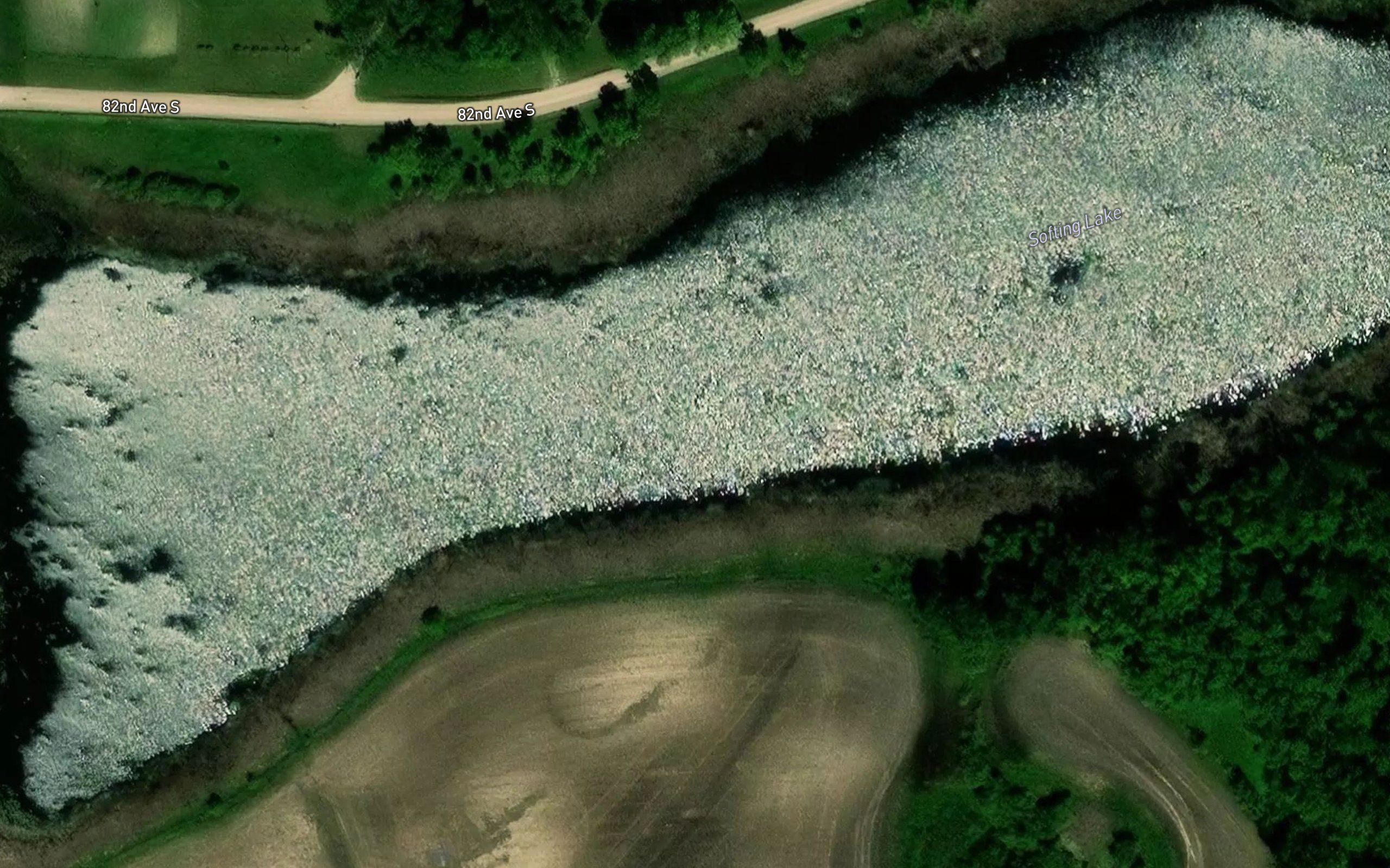 Softing Lake
