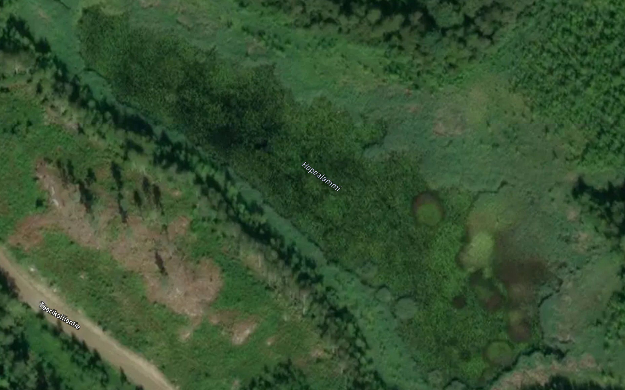 Hopealammi