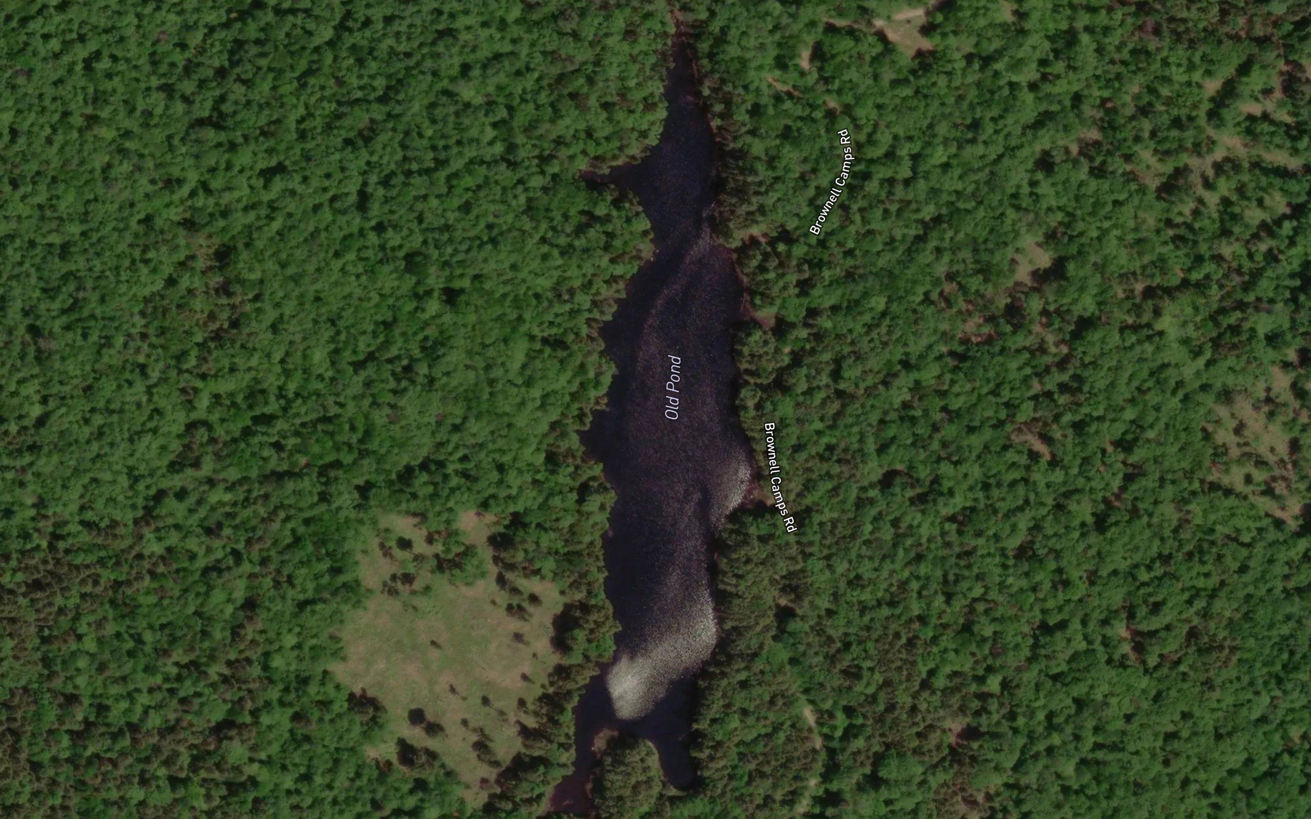 Old Pond