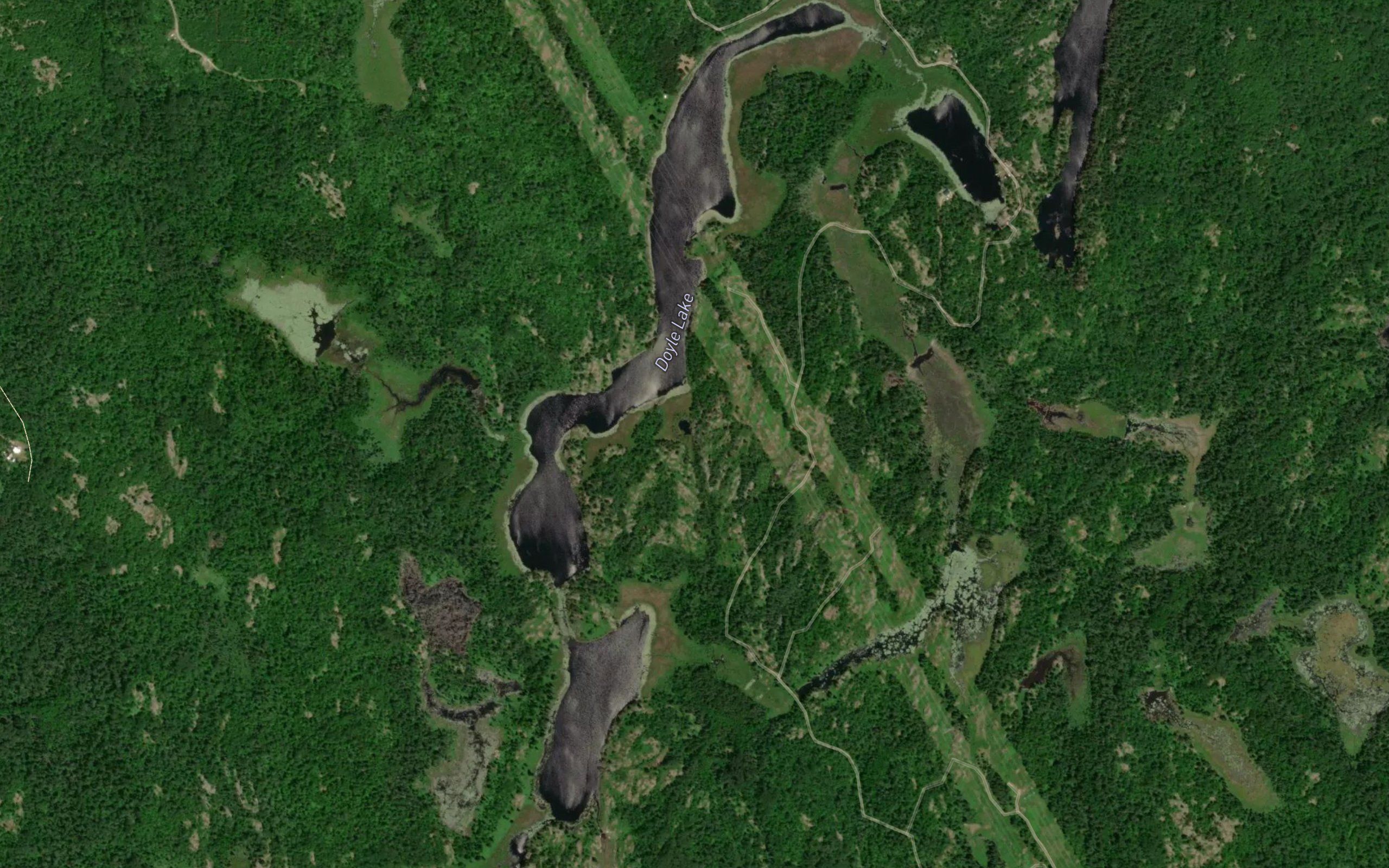 Doyle Lake