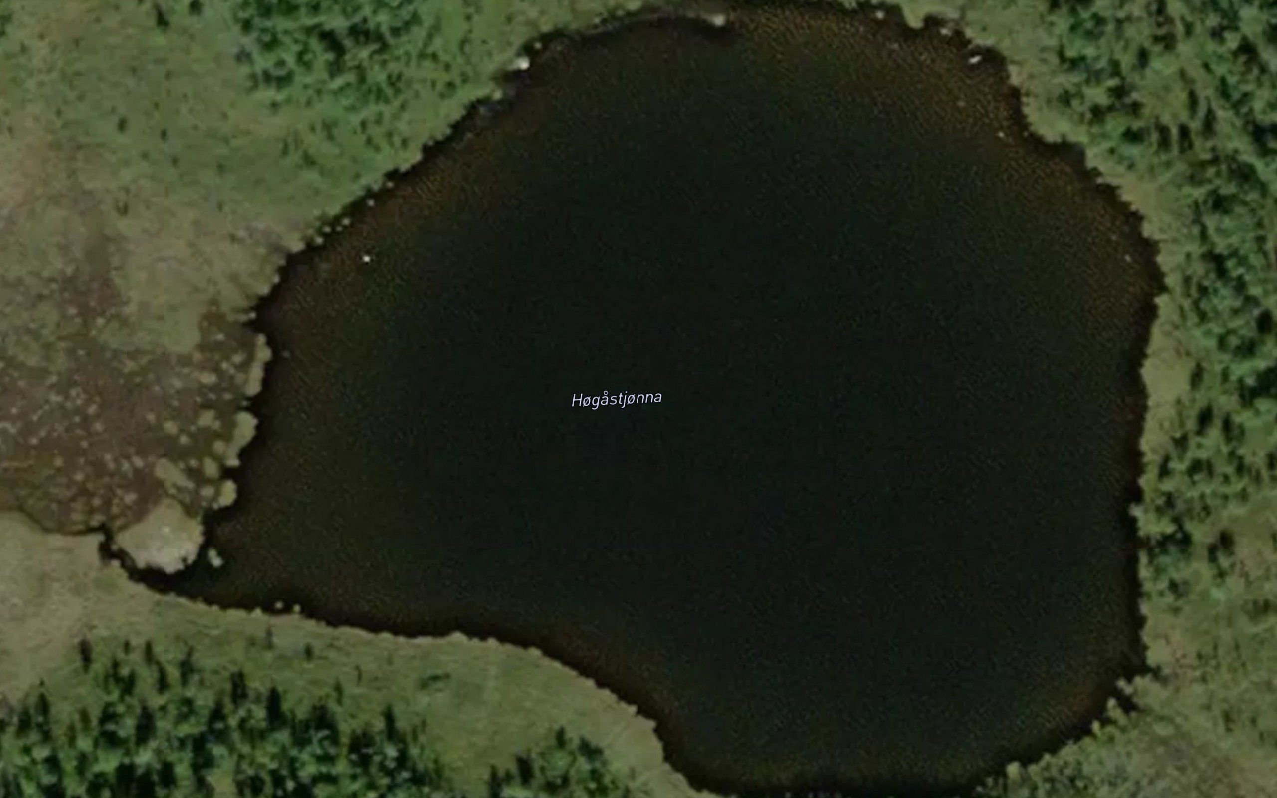 Hogastjonna