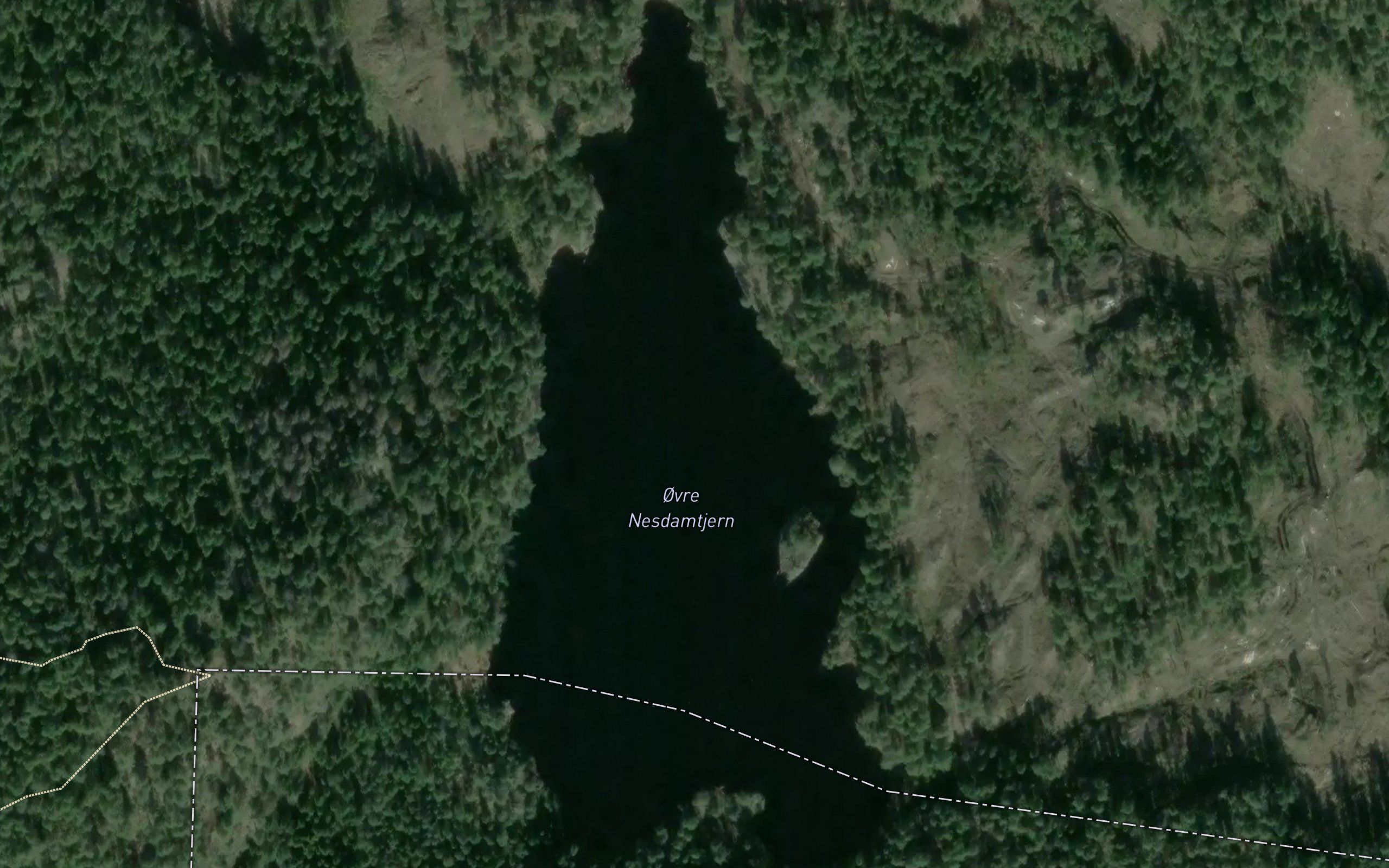 Ovre Nesdamtjern