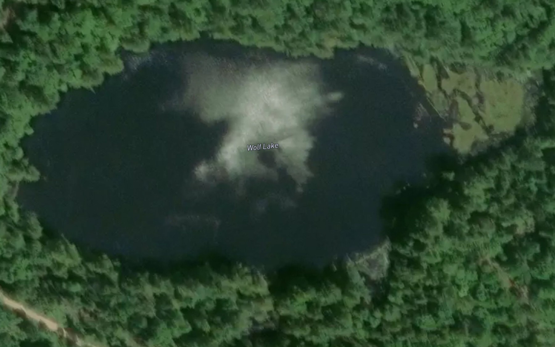 Satellite map of the Wolf Lake