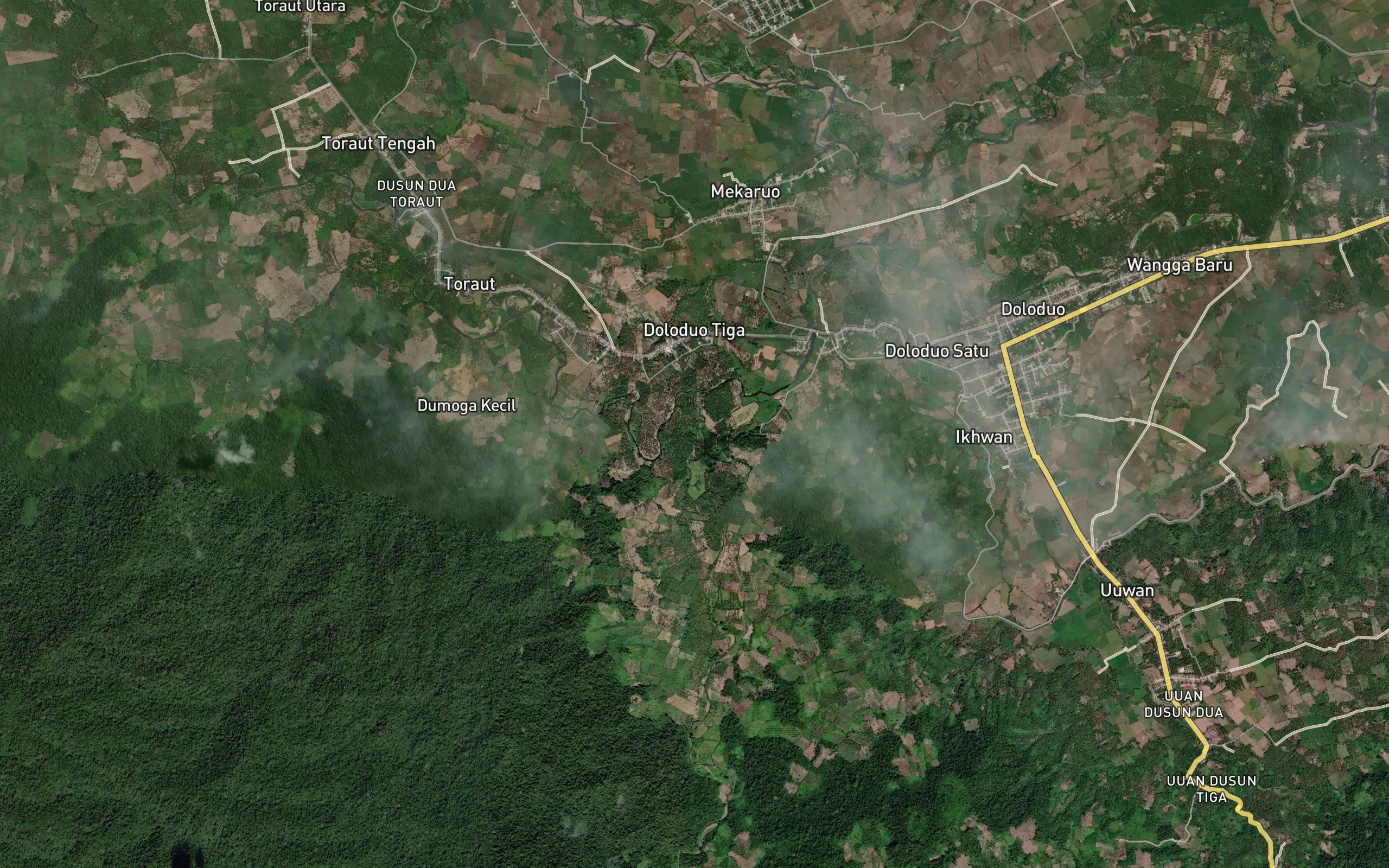 Ongkag Kosinggolan
