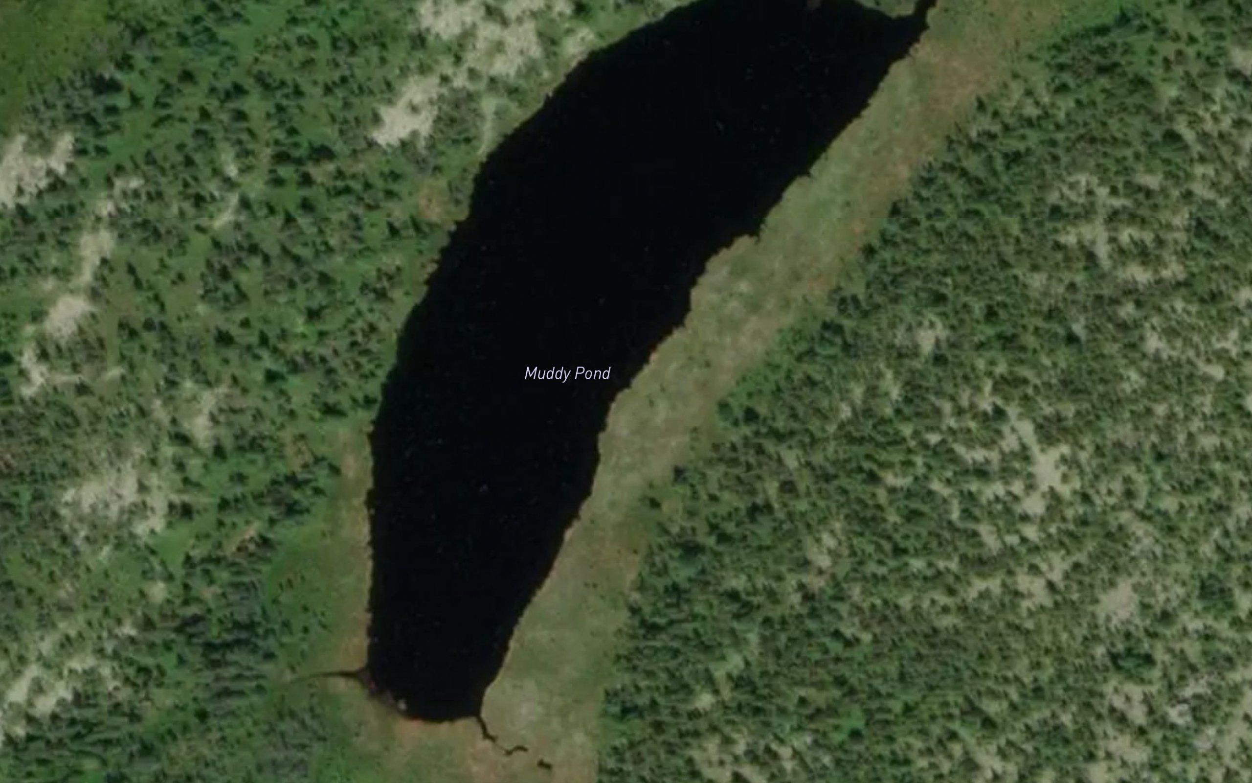 Muddy Pond