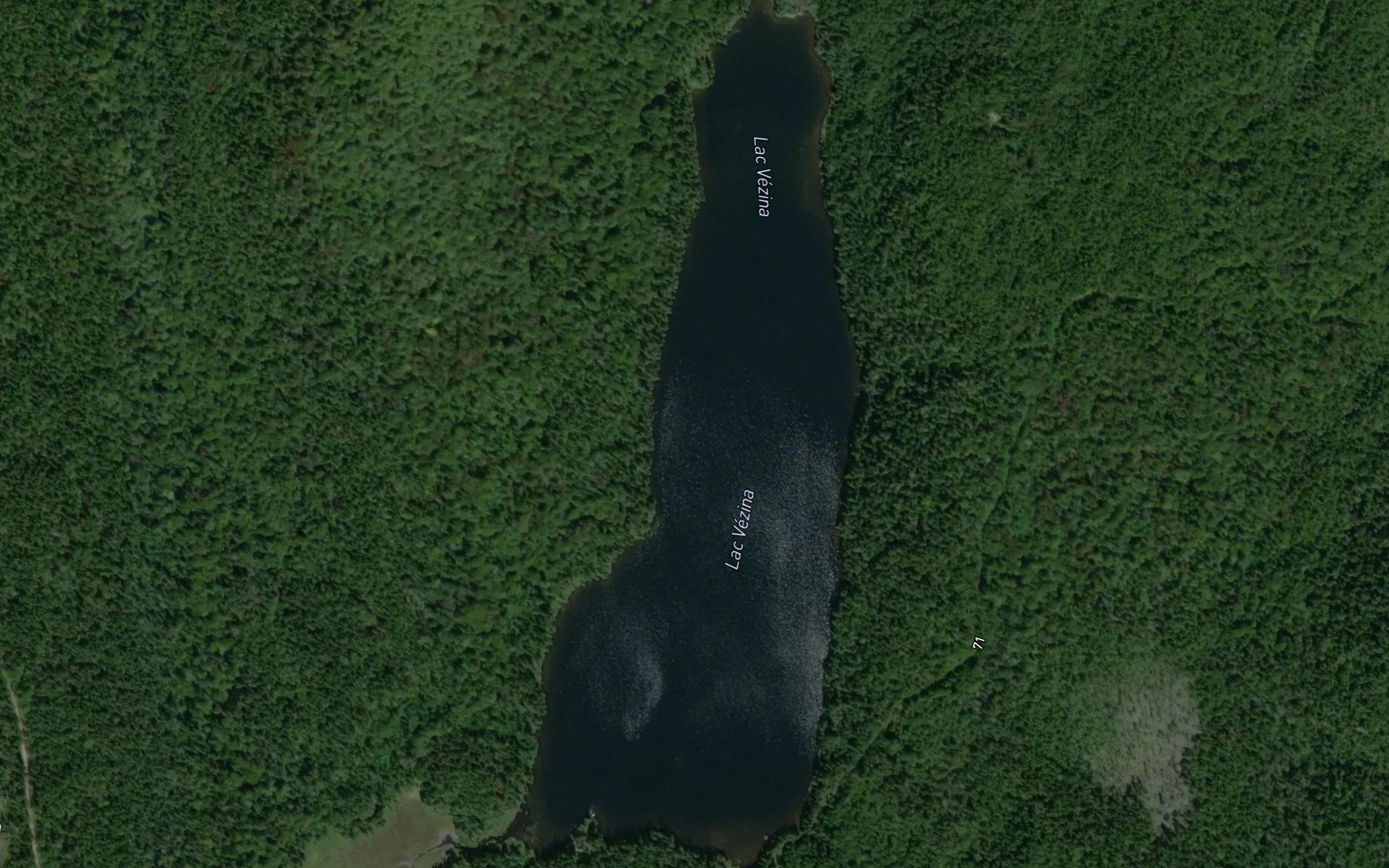 Satellite map of the Lac Vezina