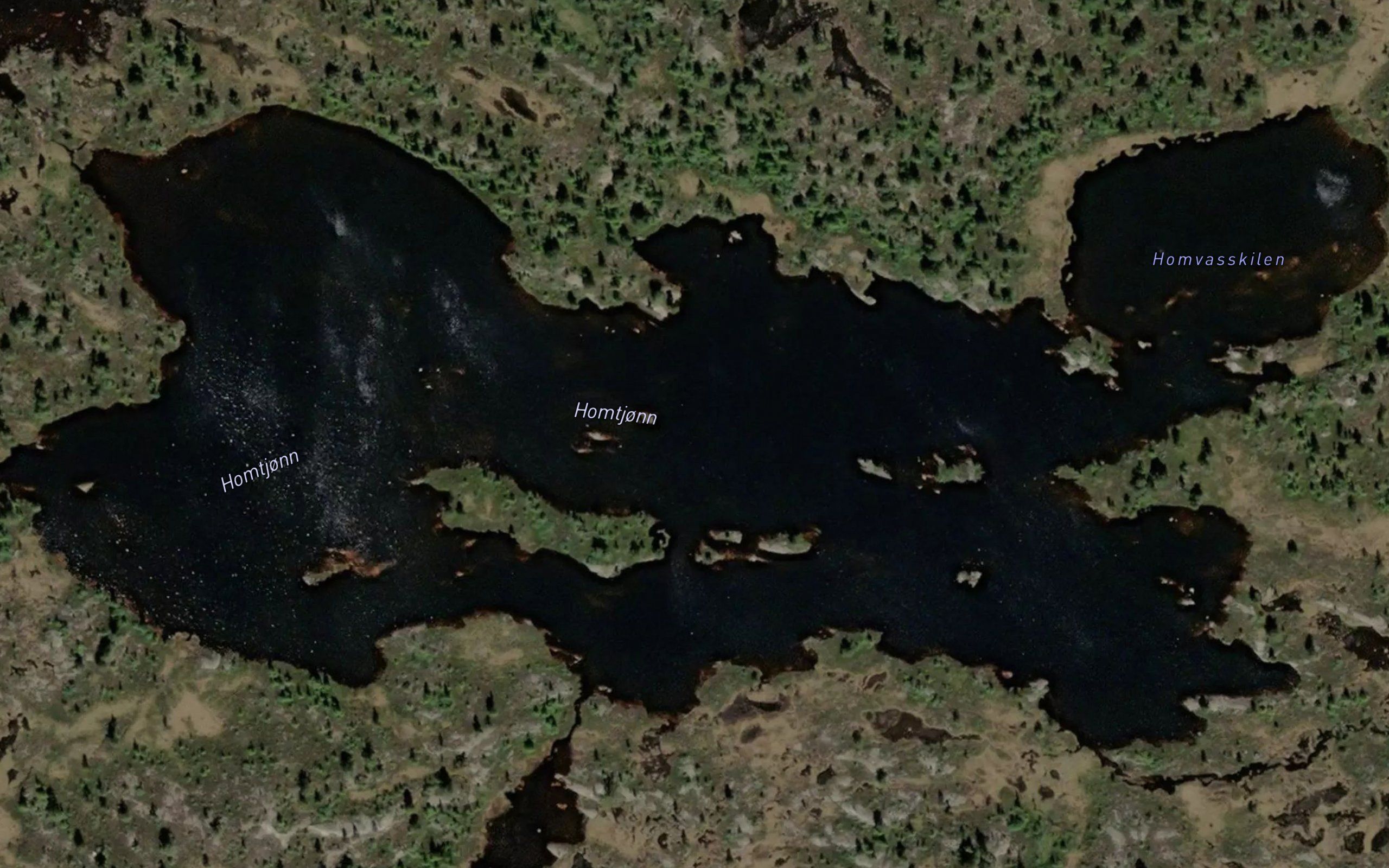 Homtjonn
