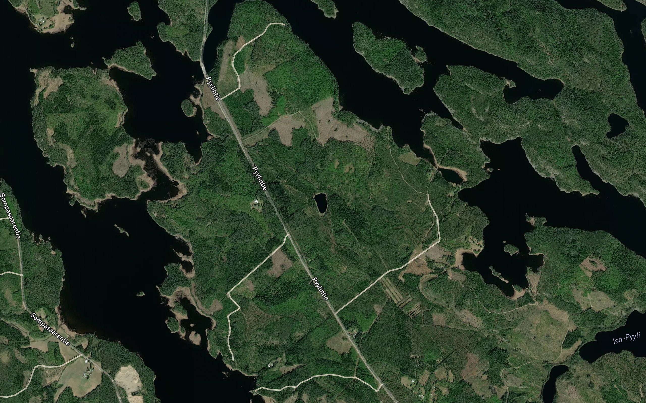 Lehmilampi