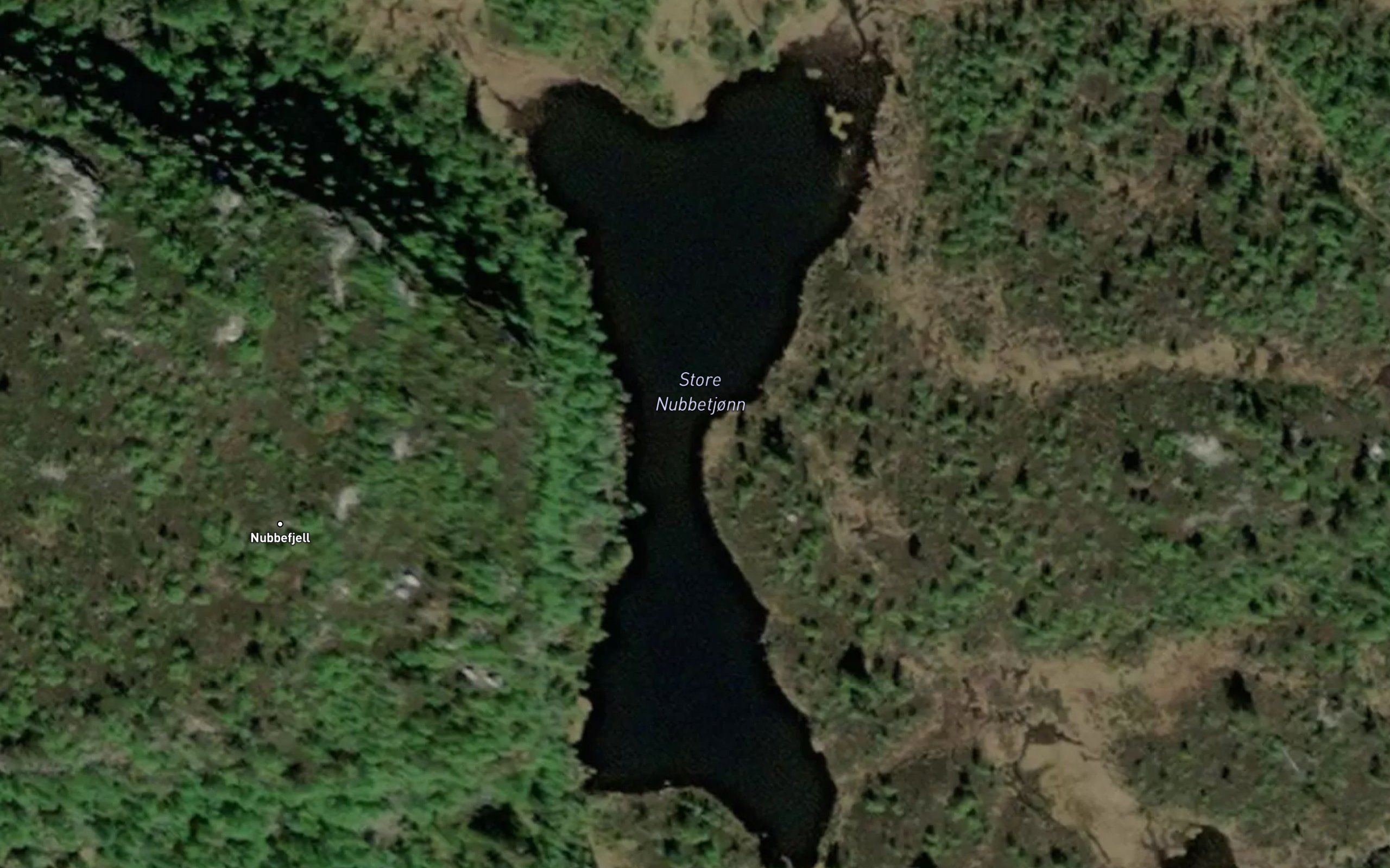 Store Nubbetjonn