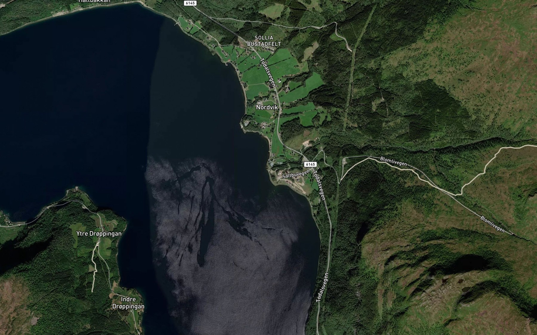 Satellite map of the Sagelva