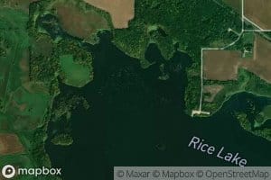 Rice Lake