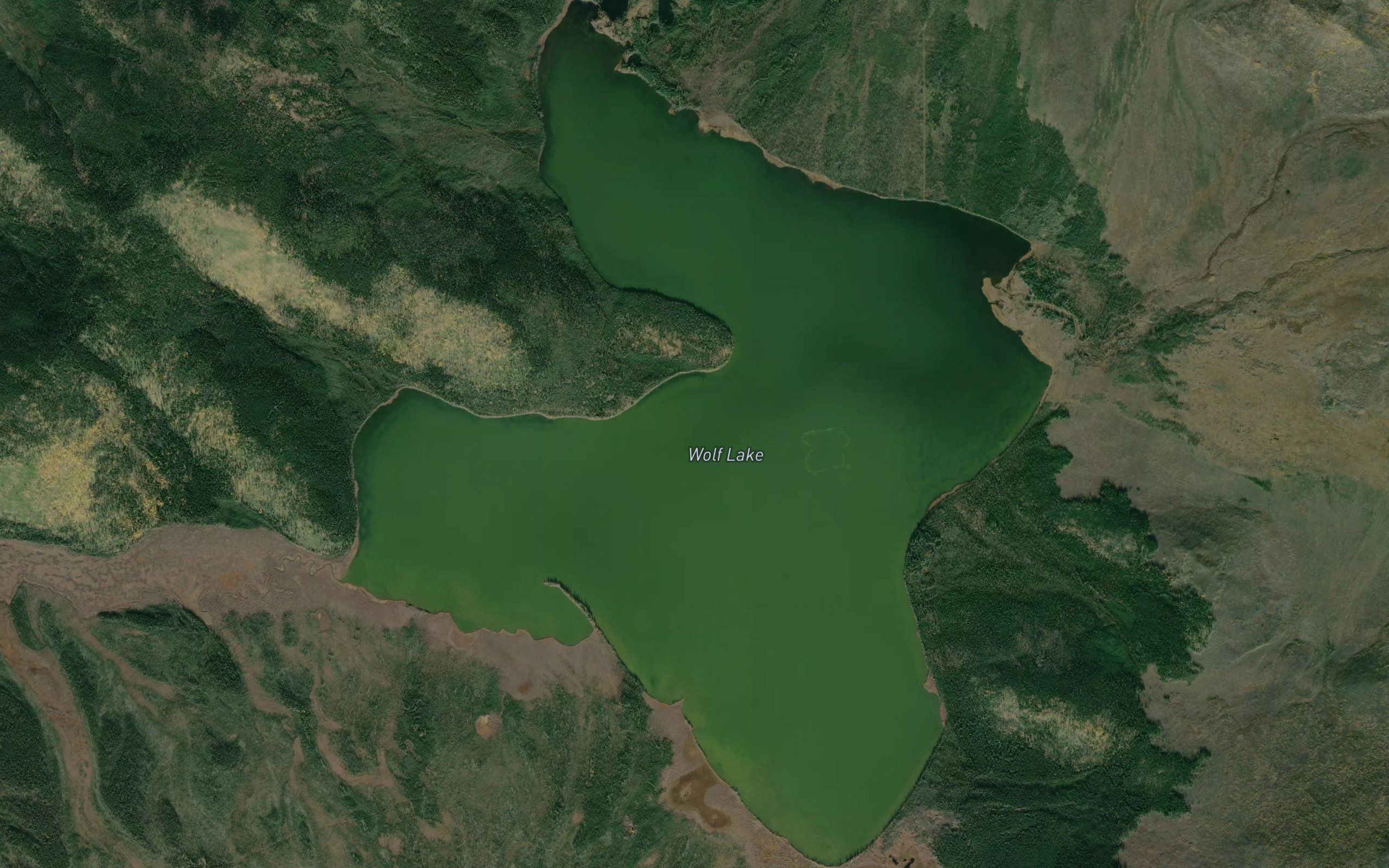 Wolf Lake