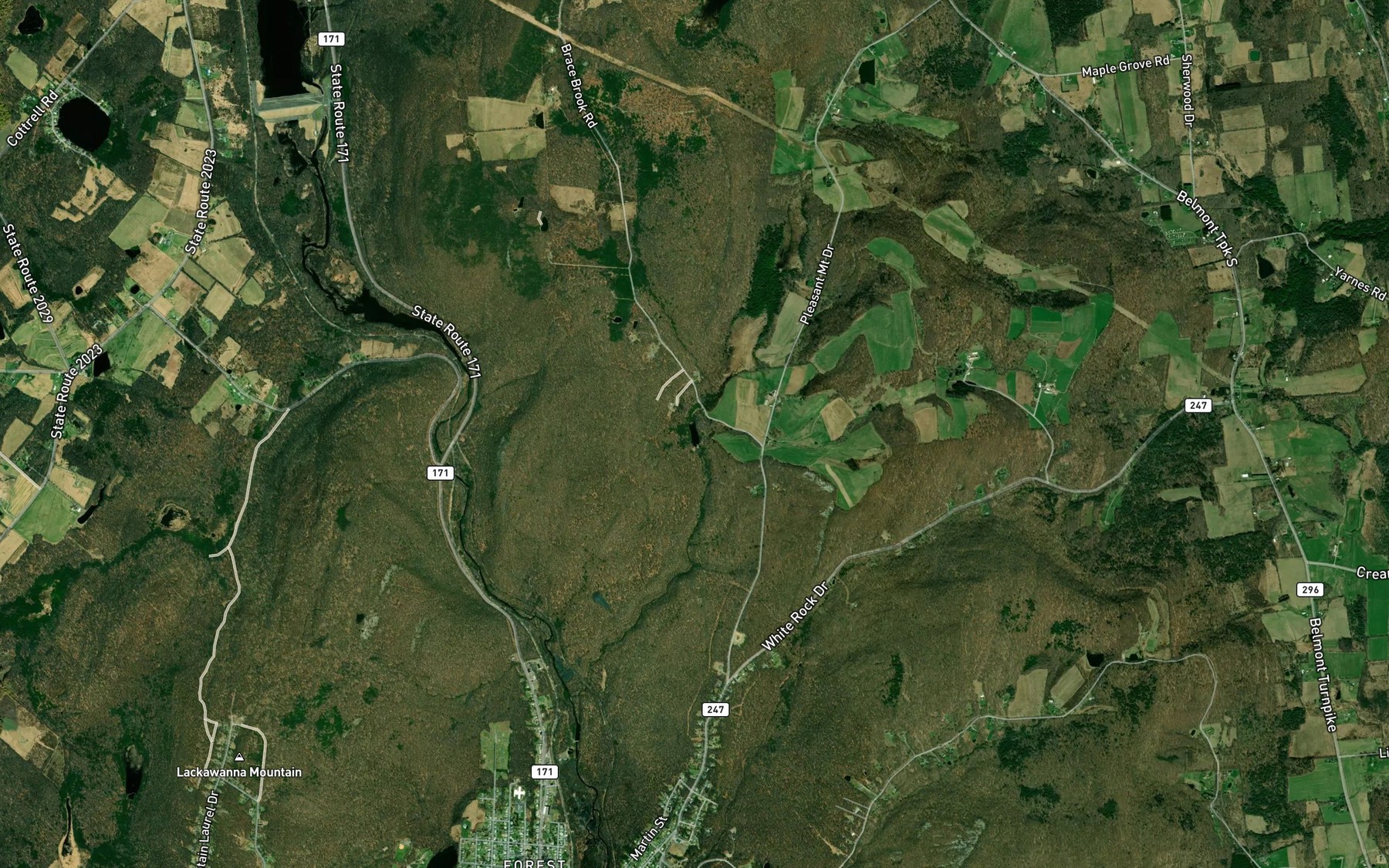 Satellite map of the Brace Brook Reservoir