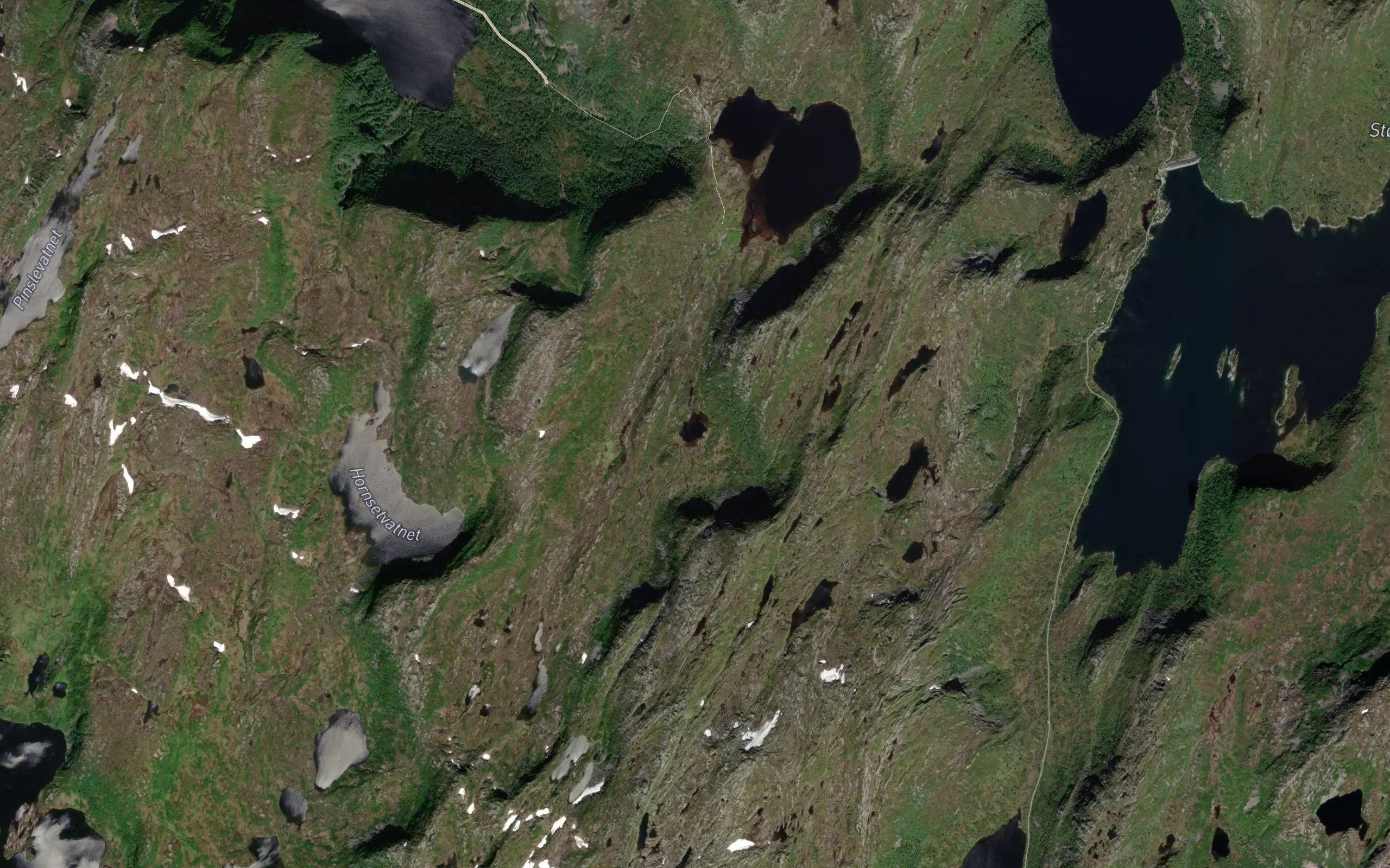 Loketjorna