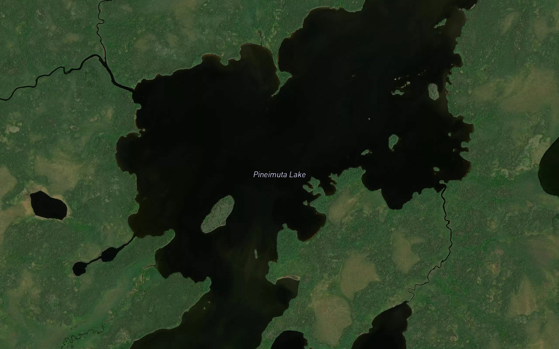 Satellite map of the Pineimuta Lake