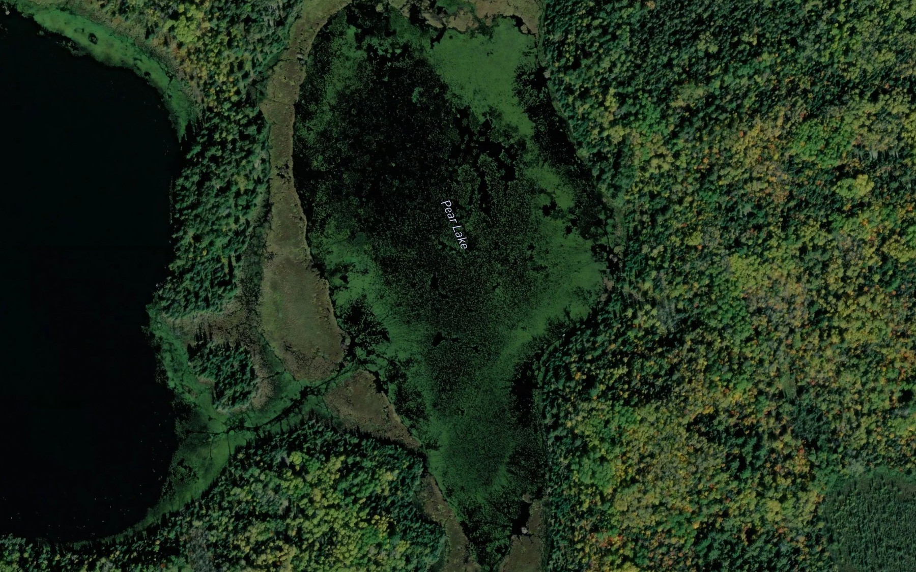 Satellite map of the Pear Lake