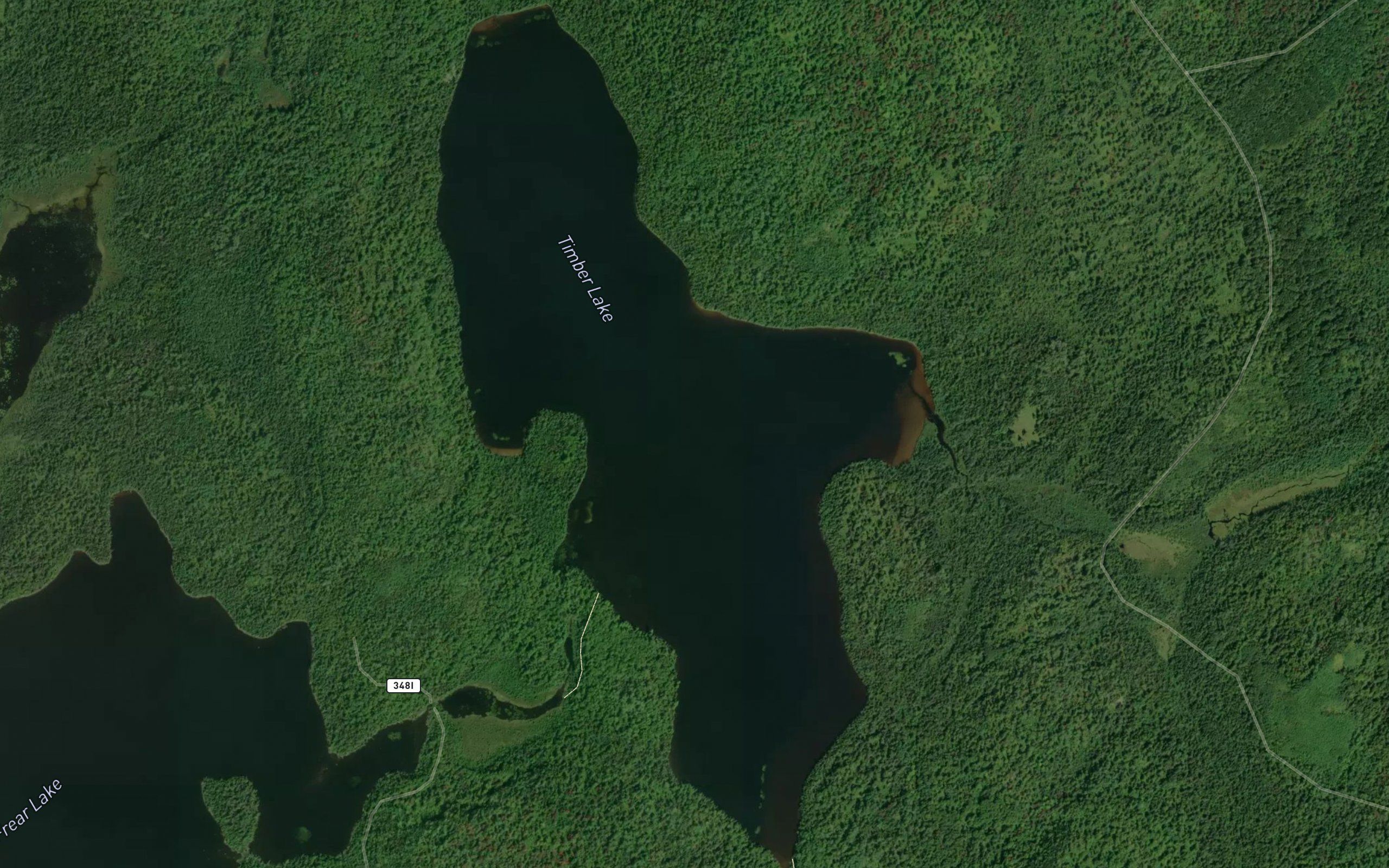 Timber Lake