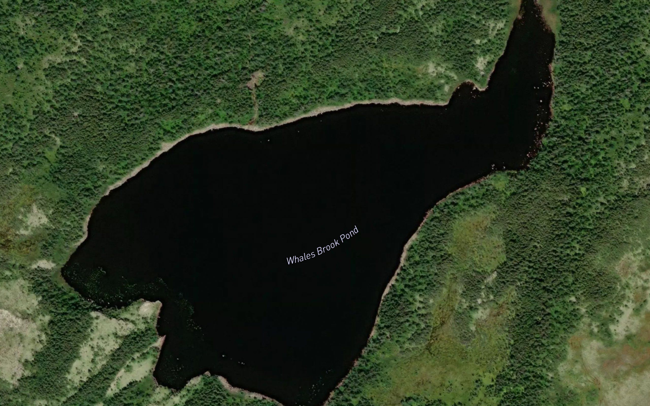 Whales Brook Pond