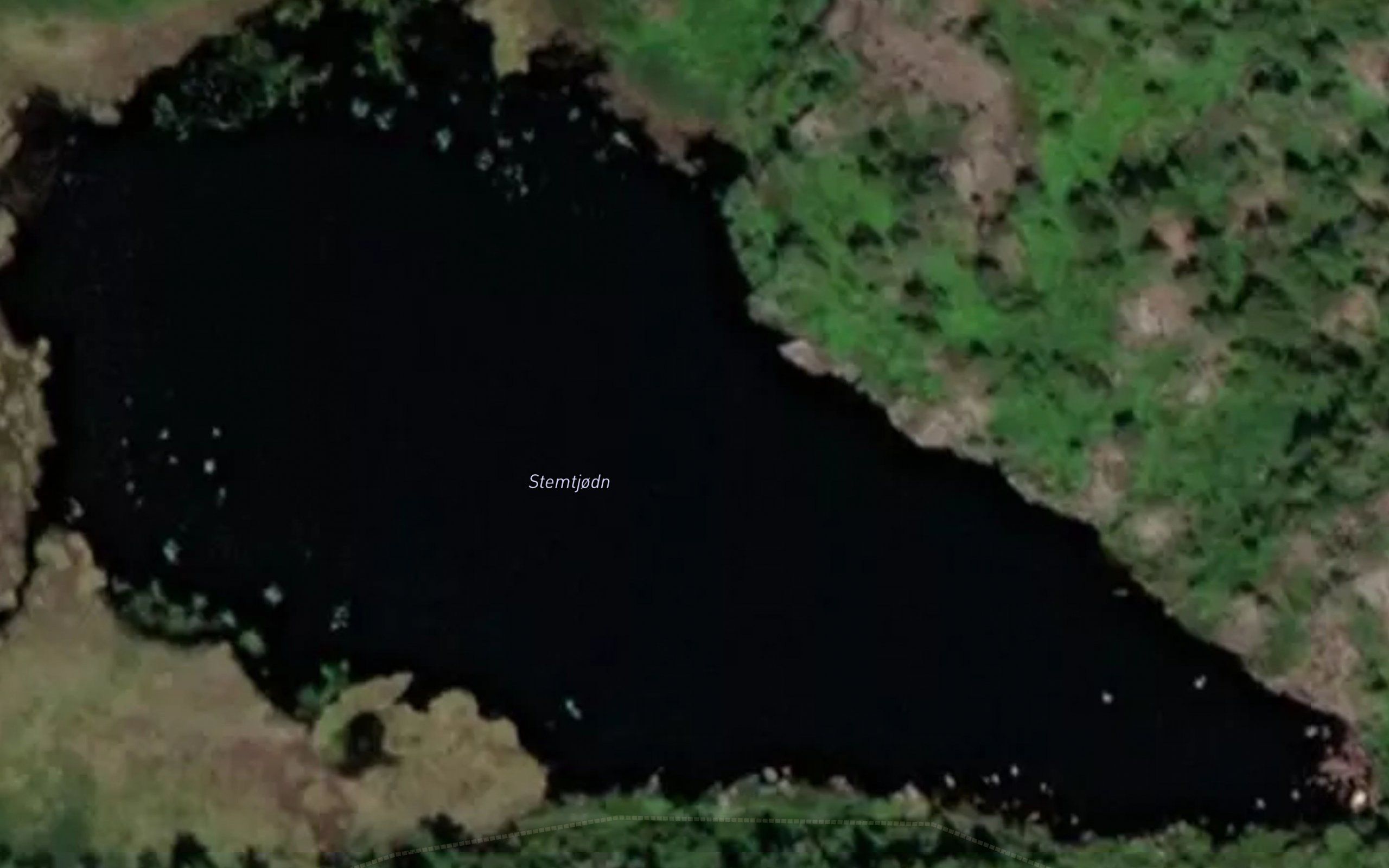 Stemtjorna