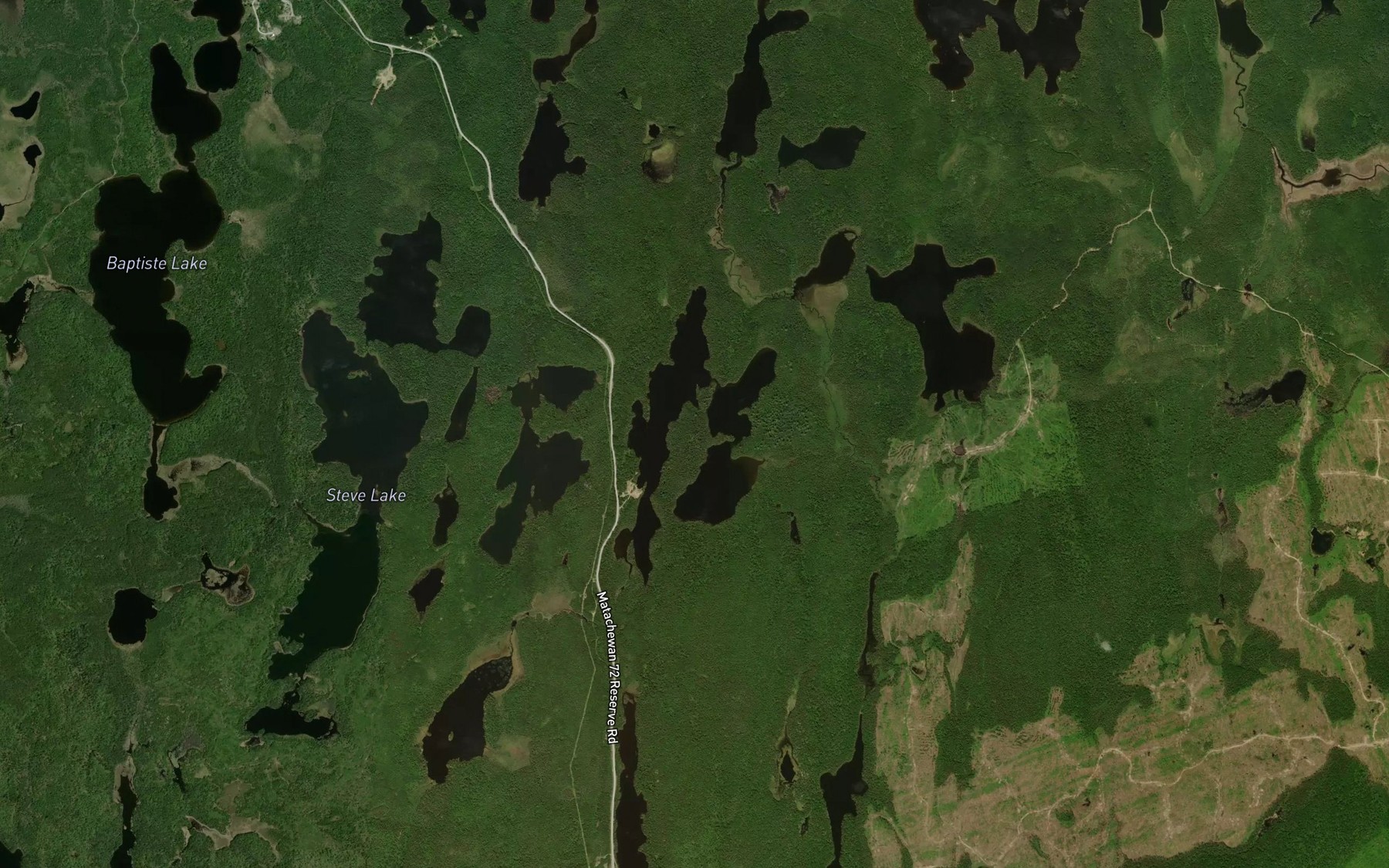 Satellite map of the McNaughton Lake