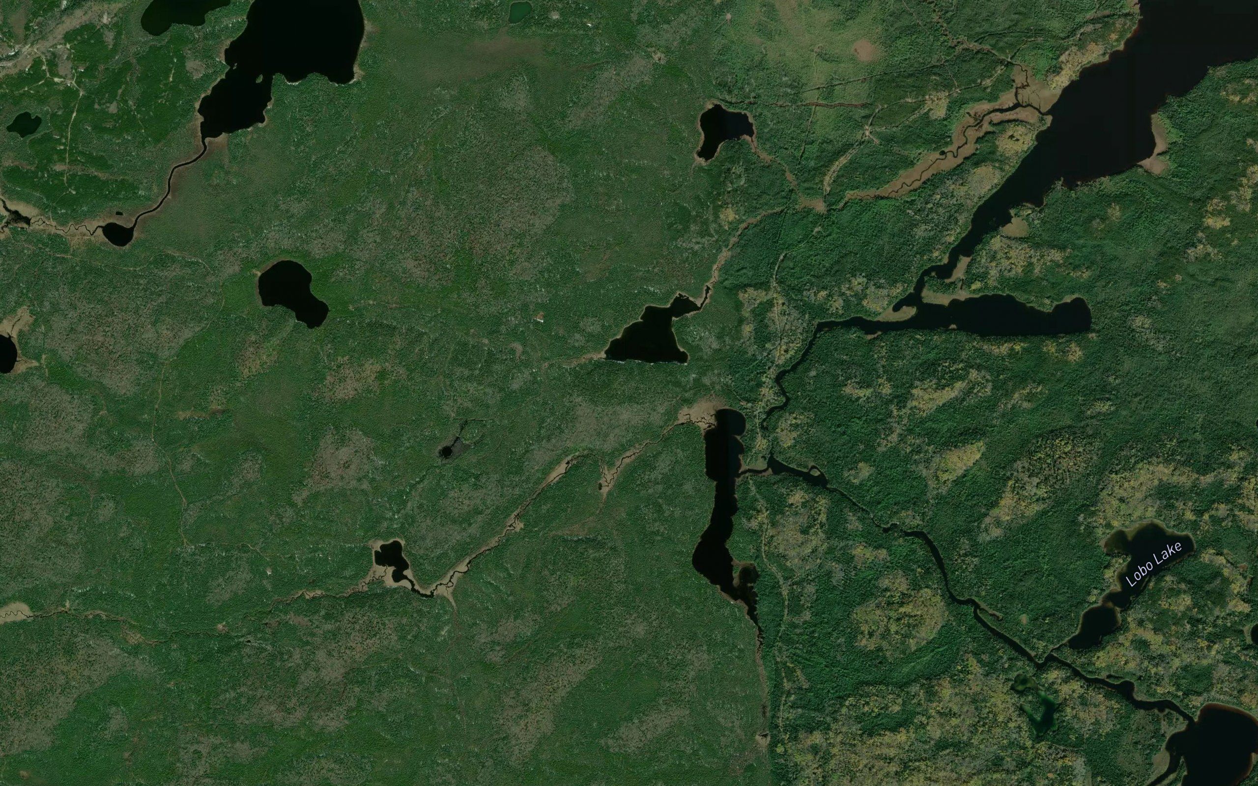 Parent Creek